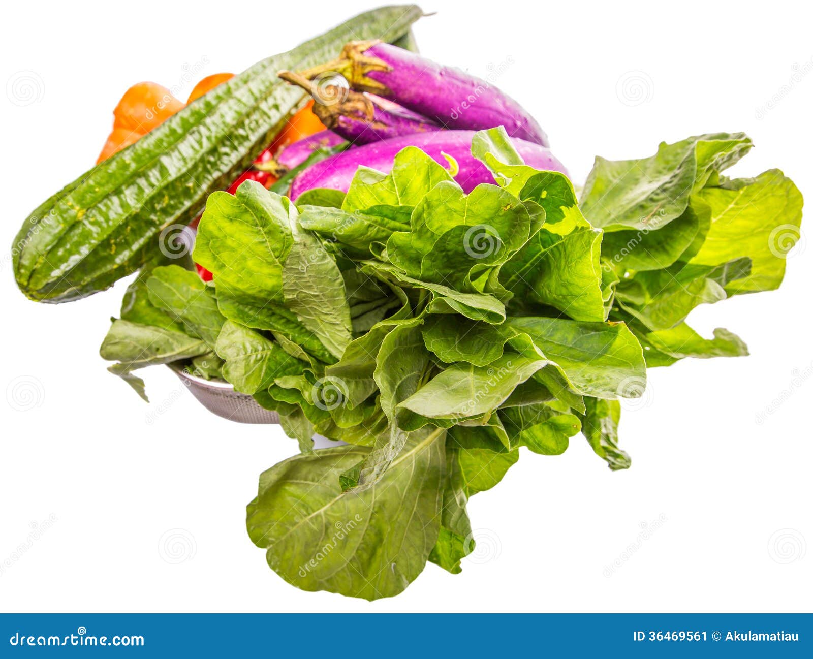 Mix Tropical Vegetables Isolated X Stock Image Image of gourd, health