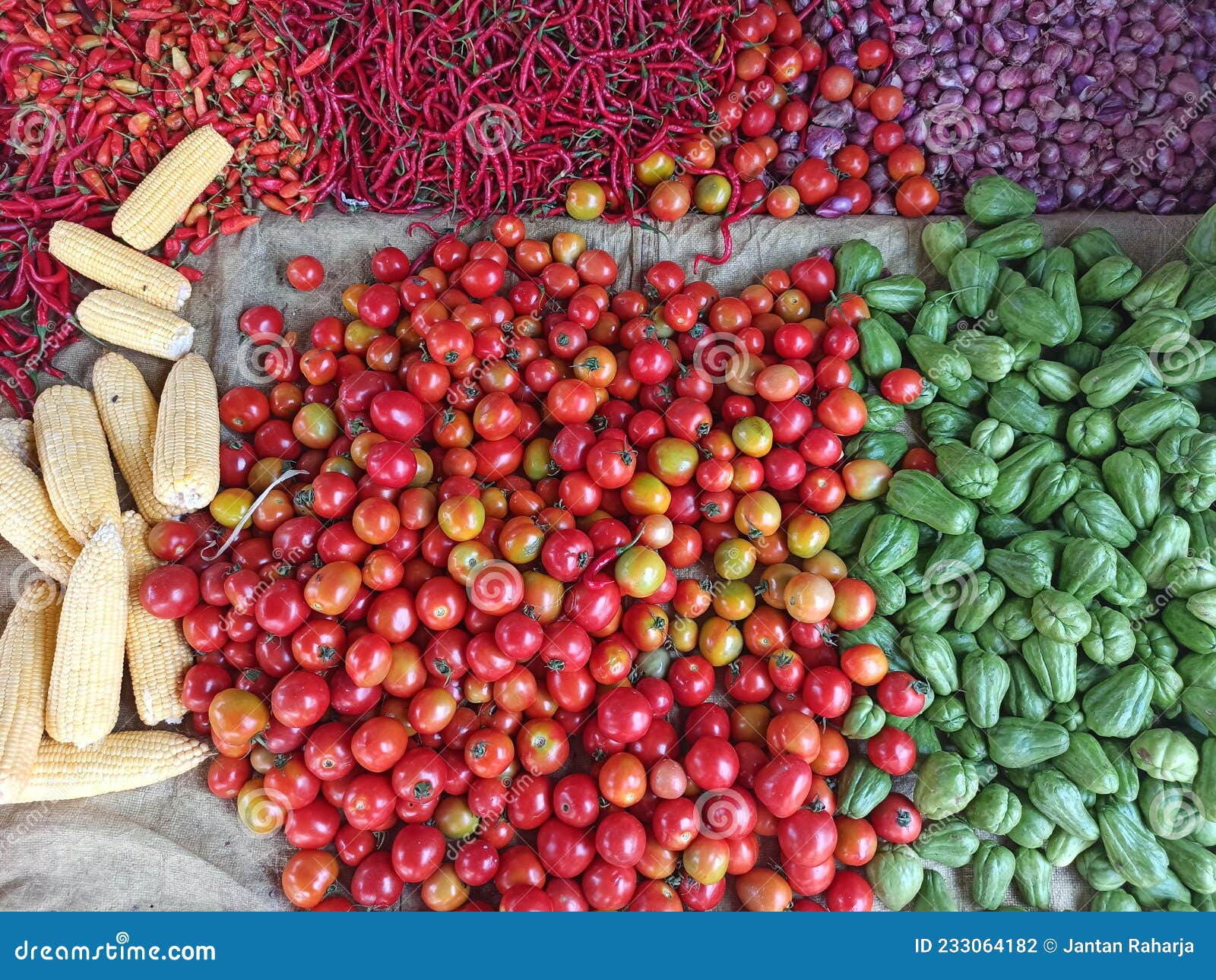 Mix of Vegetable, Abstract Background of Mix Vegetables Stock Photo