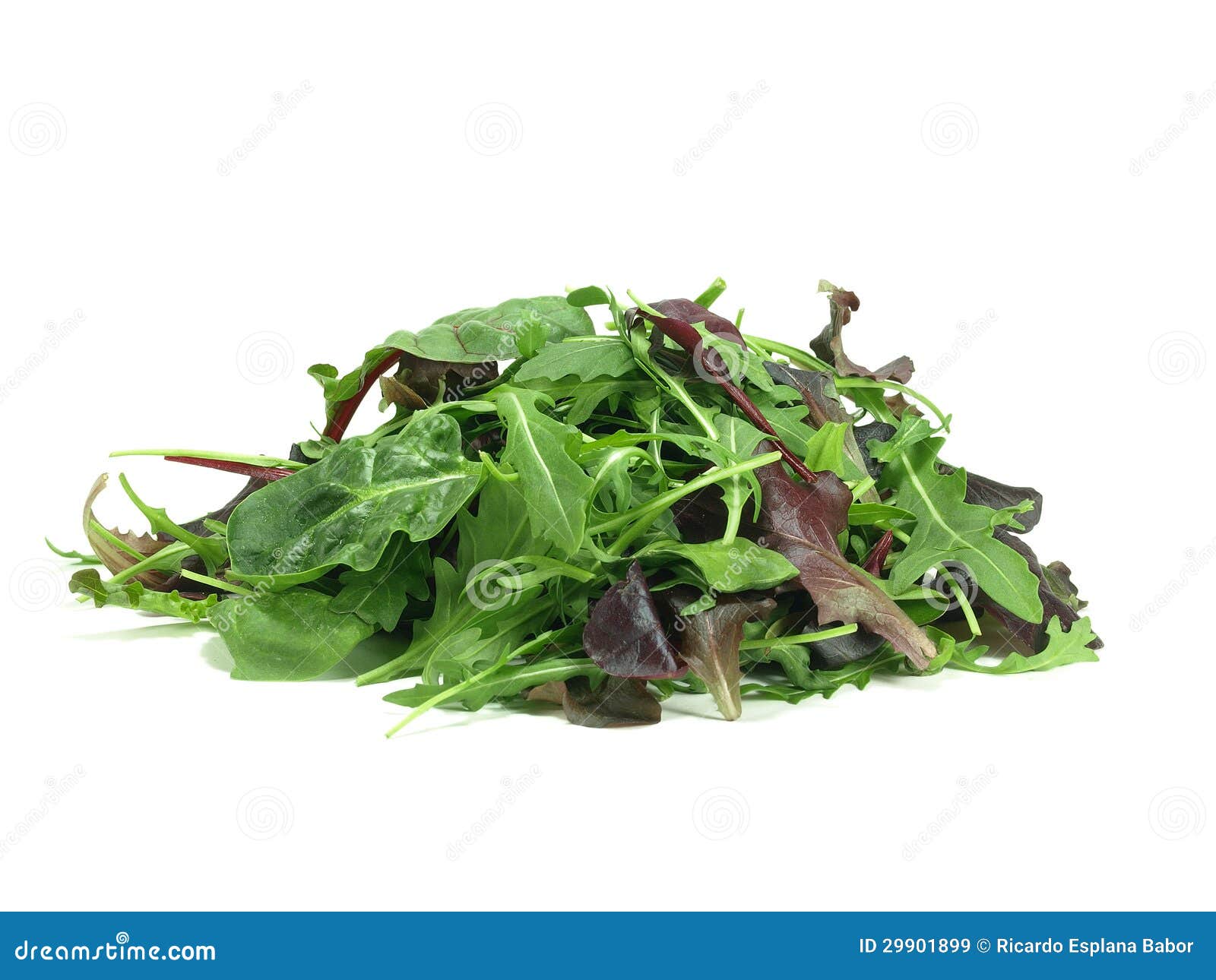 Mixed baby green salad stock image. Image of fibers, vegetarian 29901899