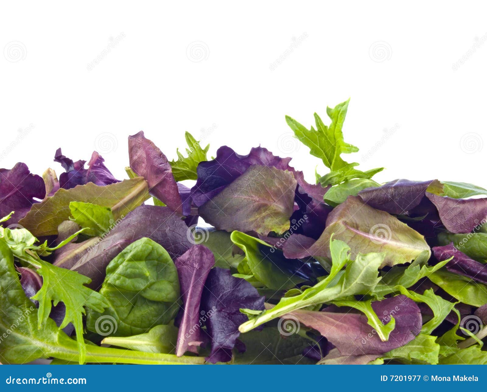 Mixed baby greens stock image. Image of white, healthy 7201977