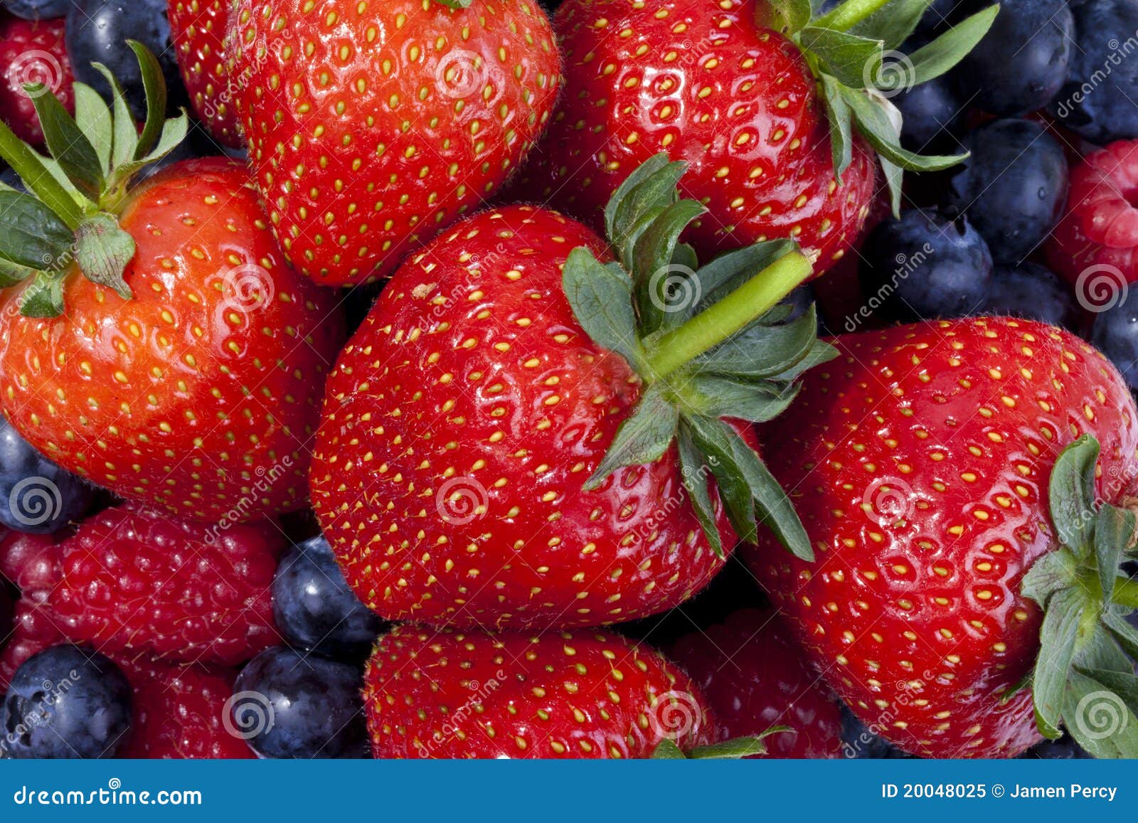 Mixed Berries Fruits RoyaltyFree Stock Photo