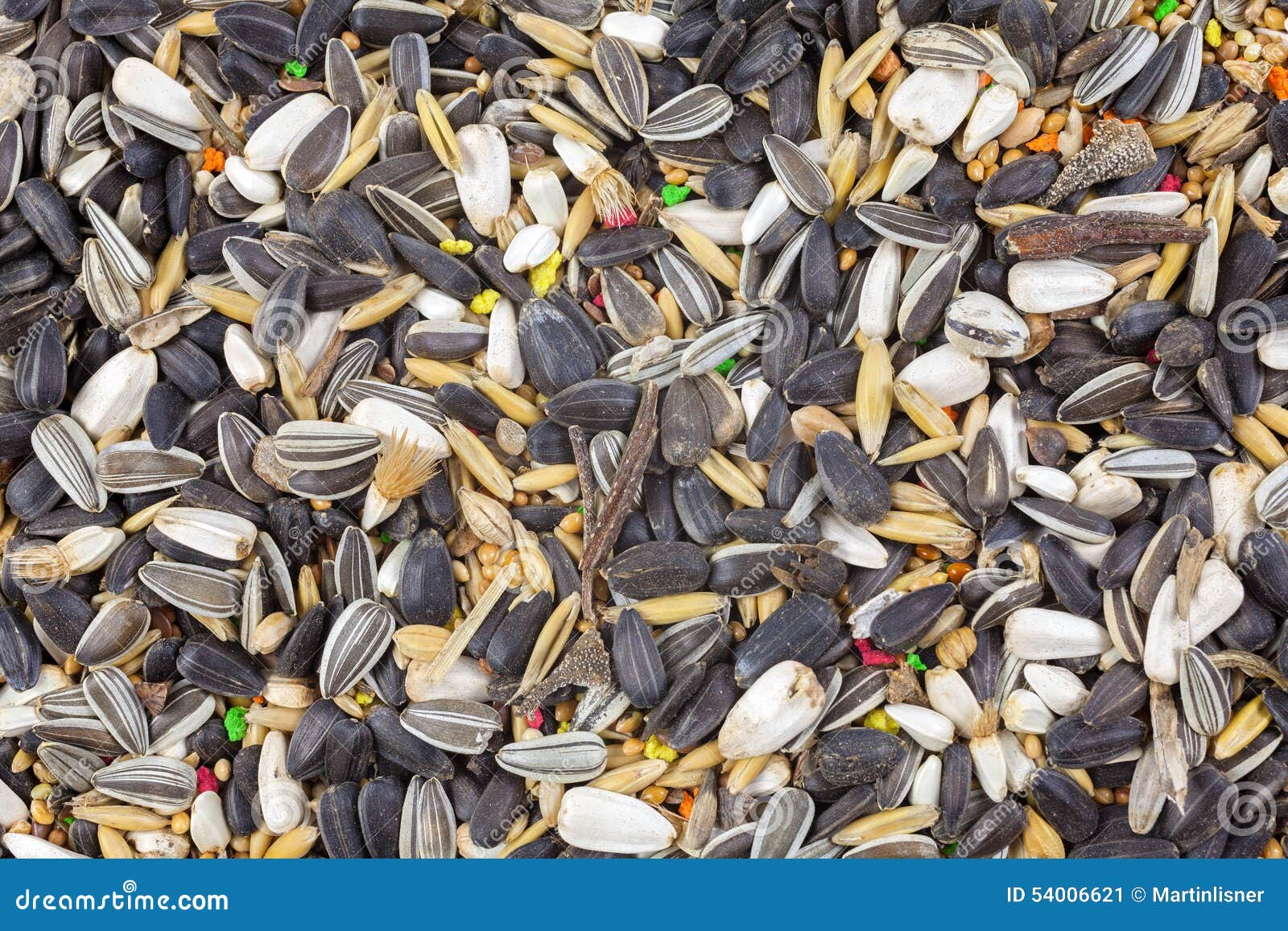 Mixed bird seed close up stock image. Image of healthy 54006621