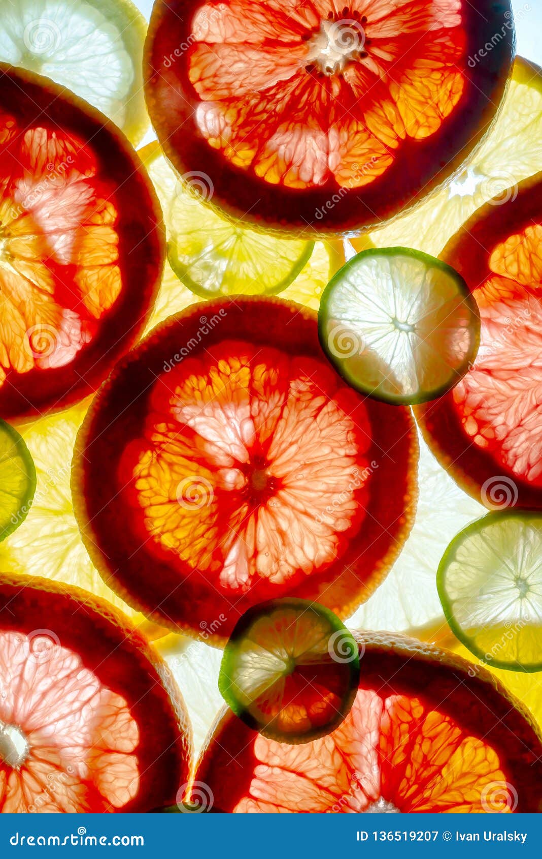 Mixed Colorful Sliced Fruits Orange, Lime, Grapefruit, Lemon
