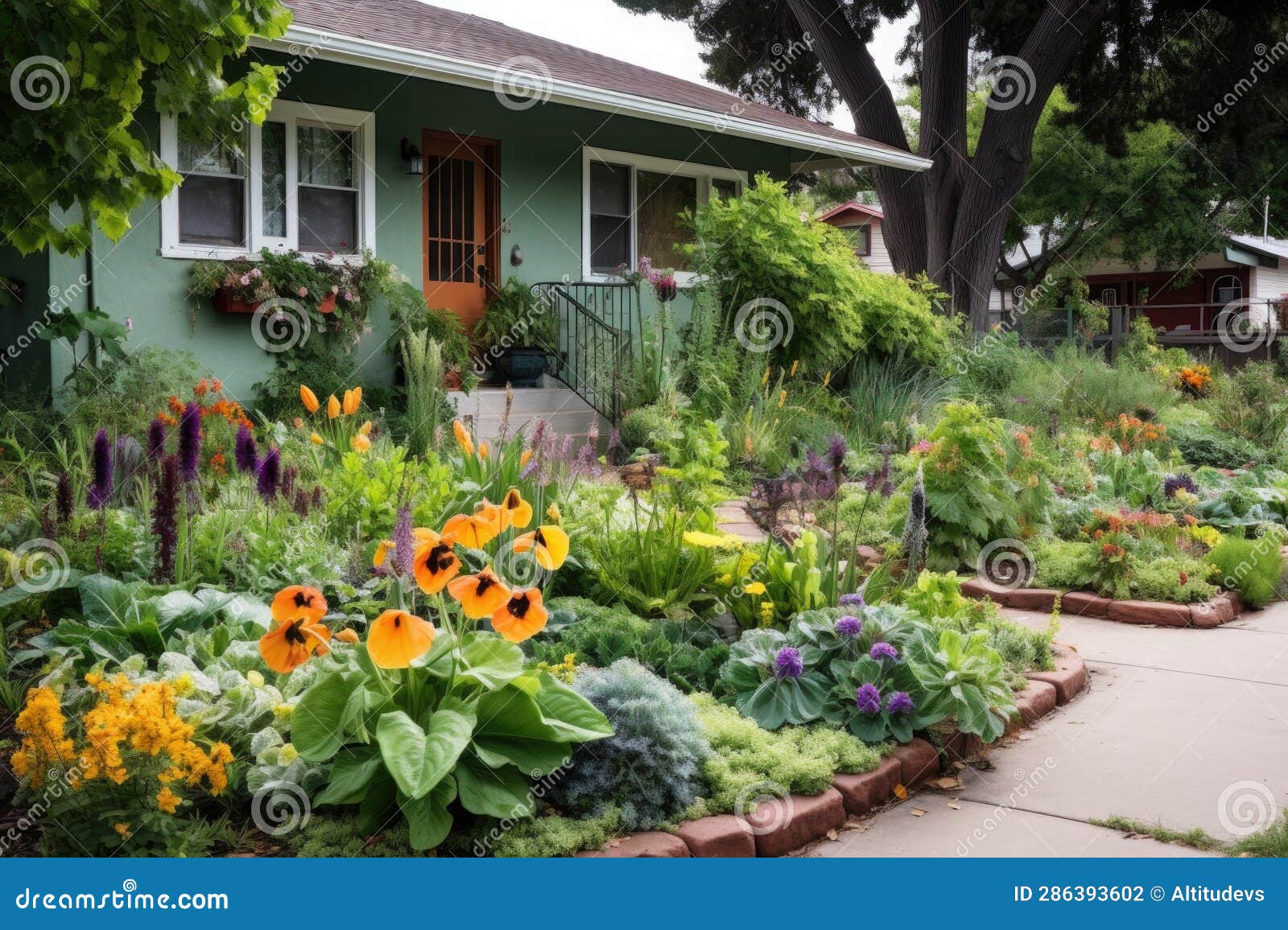 Mixed Edible and Ornamental Plants in a Front Yard Stock Photo Image of living, plants 286393602