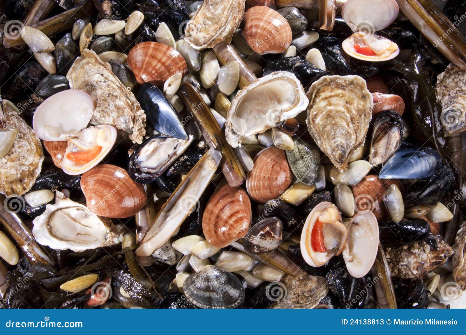 Mixed fish and sea food stock image. Image of frozen 24138813