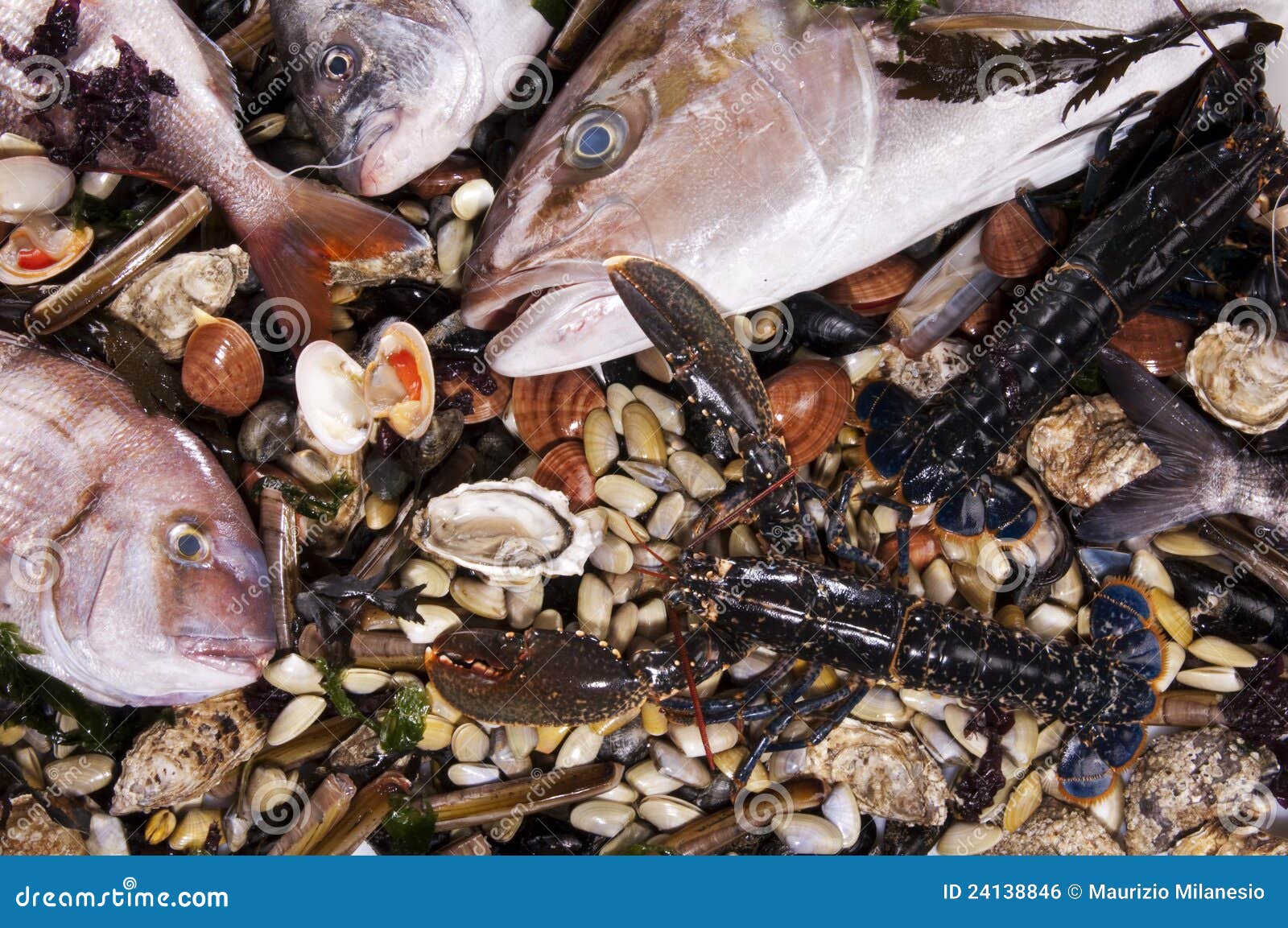 Mixed fish and sea food stock photo. Image of oysters 24138846