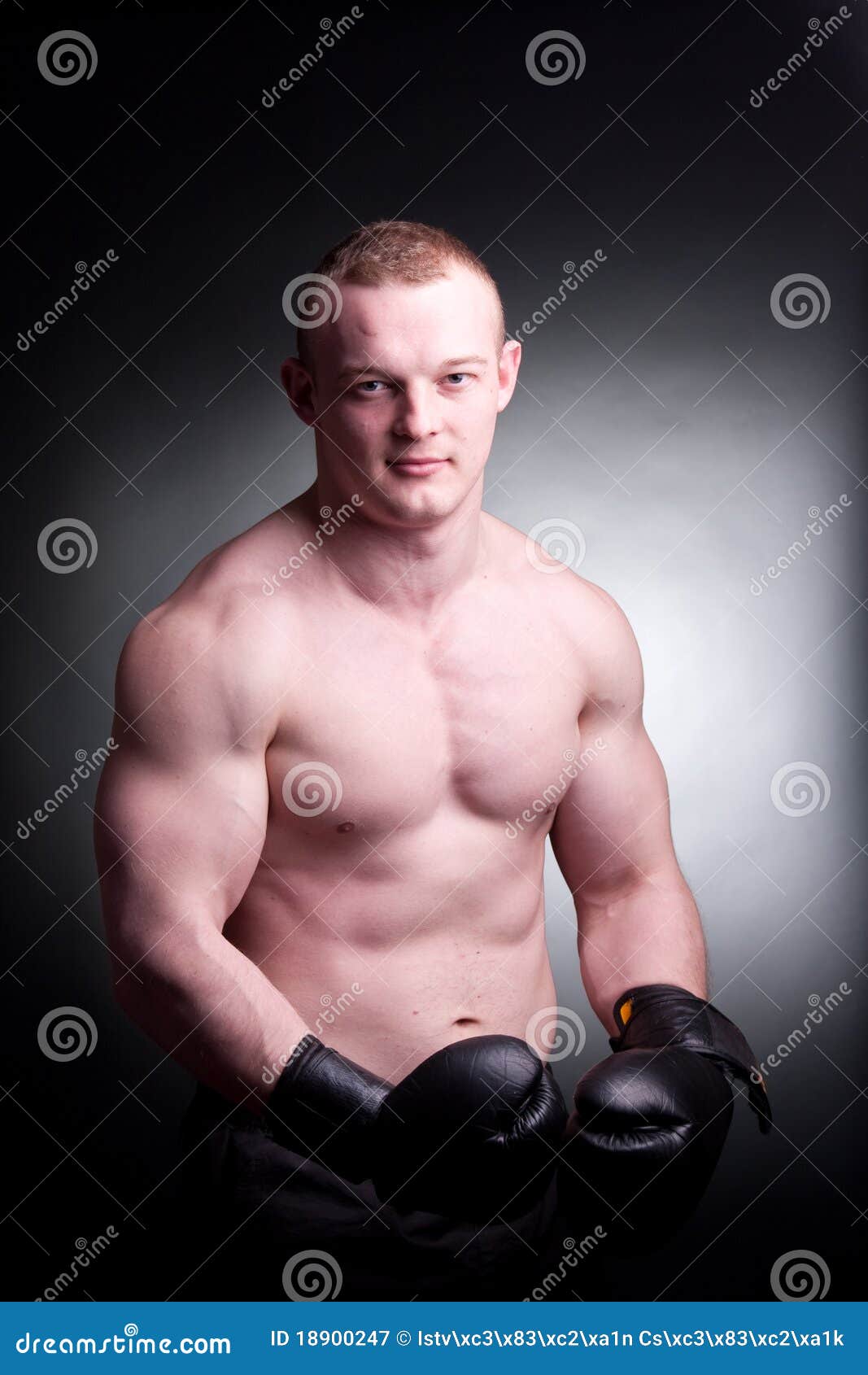 Mixed martial artist stock image. Image of attractive 18900247