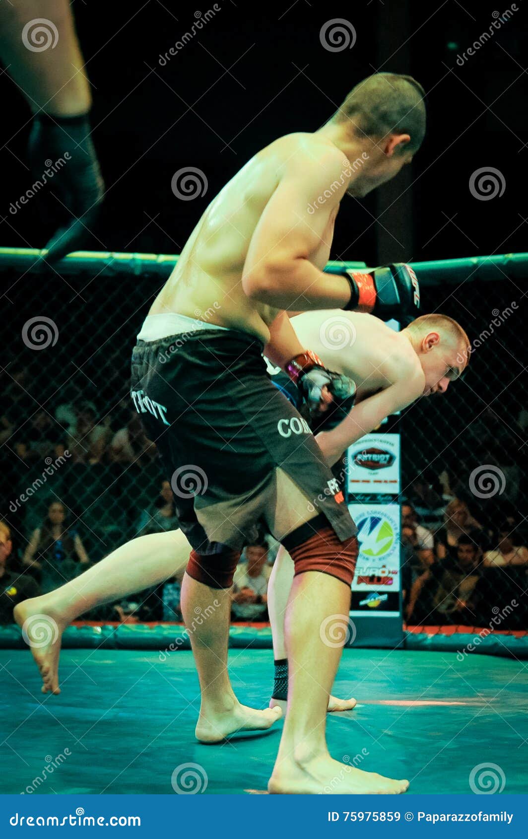 Mixed Martial Arts Competition Mma Dnipro City Ukraine June 75975859 