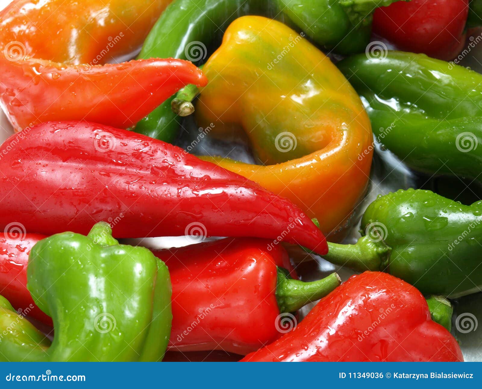Mixed peppers in water stock photo. Image of ingredients 11349036