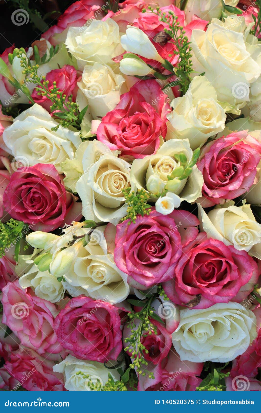 Mixed pink and white roses stock image. Image of arrangement 140520375