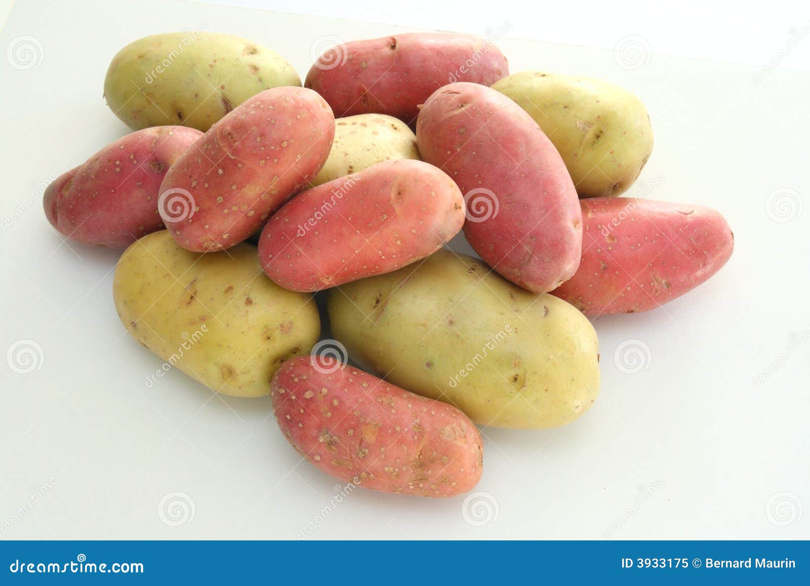 Whole Roseval potatoes stock photo. Image of uncooked - 15735456