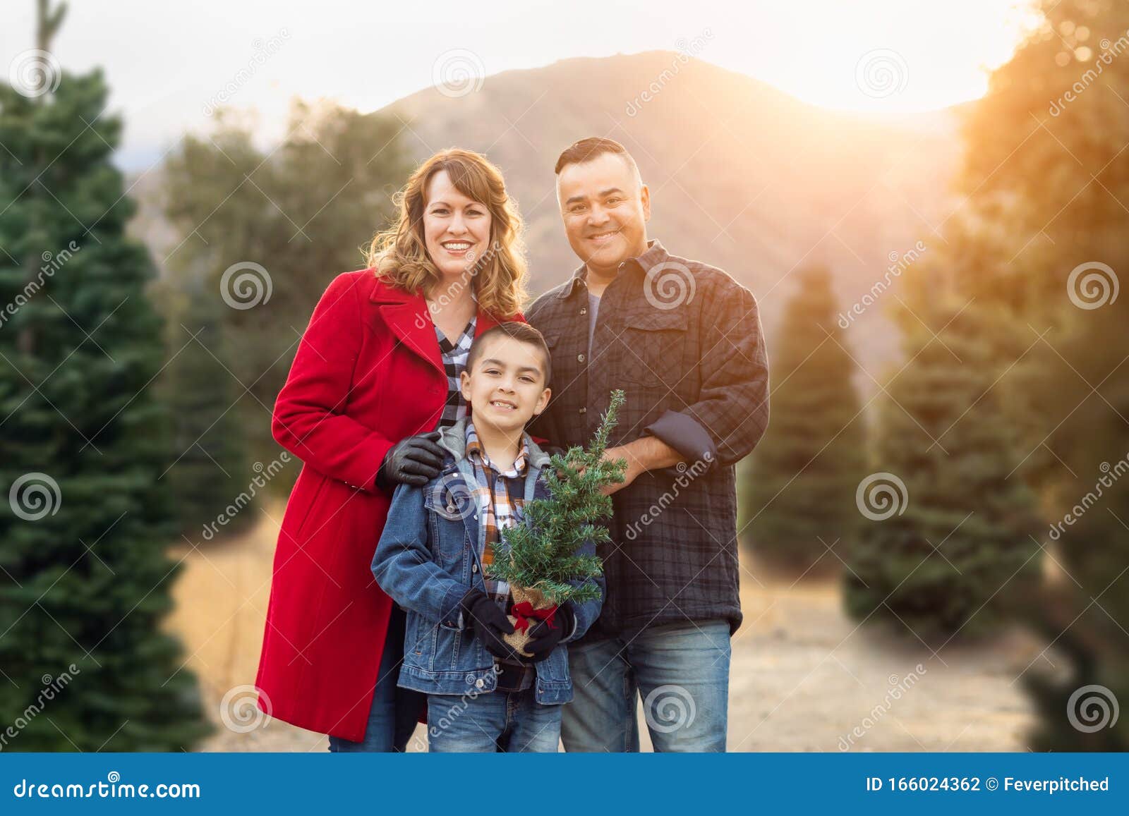 Mixed Race Family Outdoors at Christmas Tree Farm Stock Photo Image
