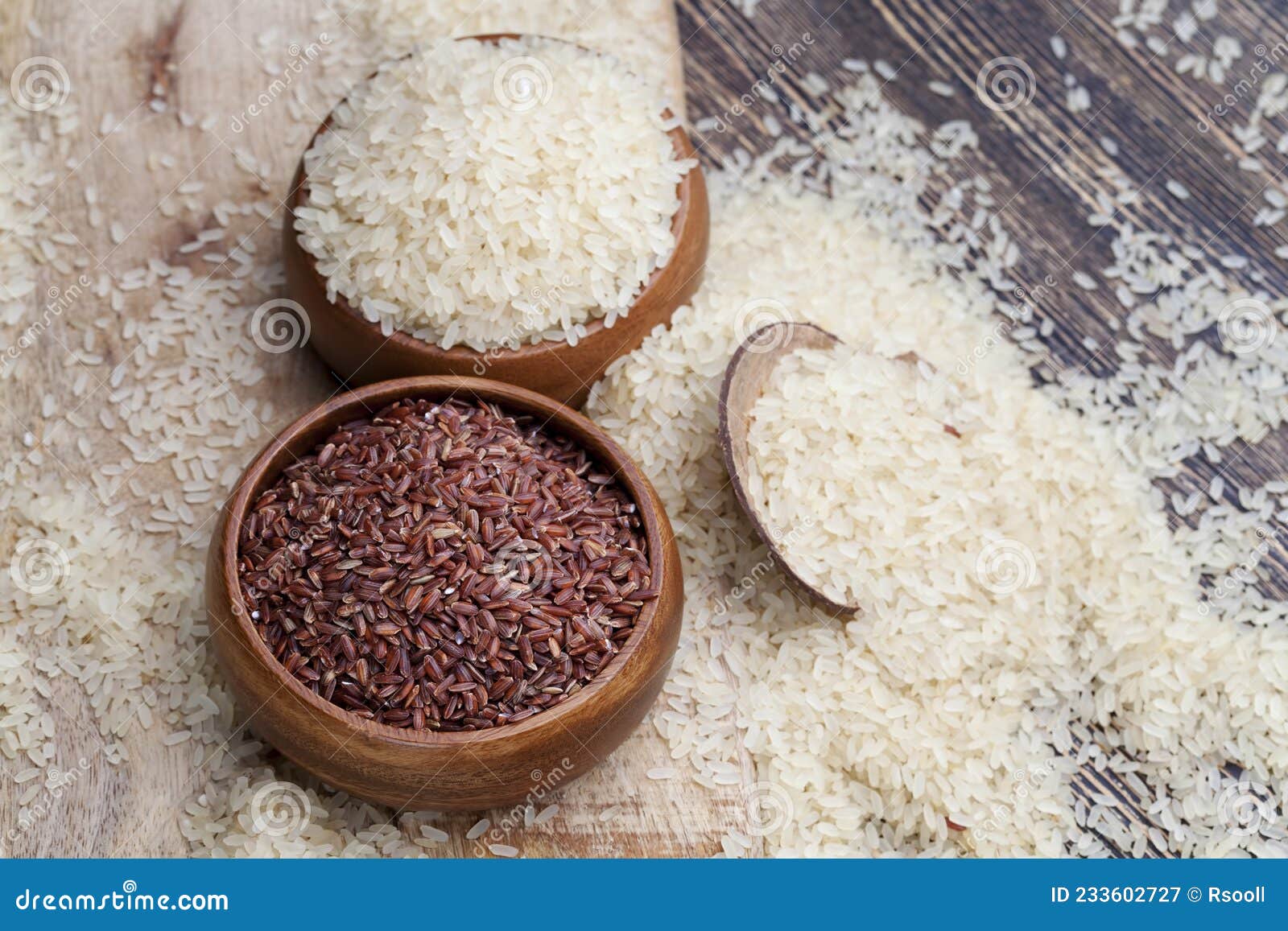 Mixed Rice of Several Types before Cooking Stock Image Image of