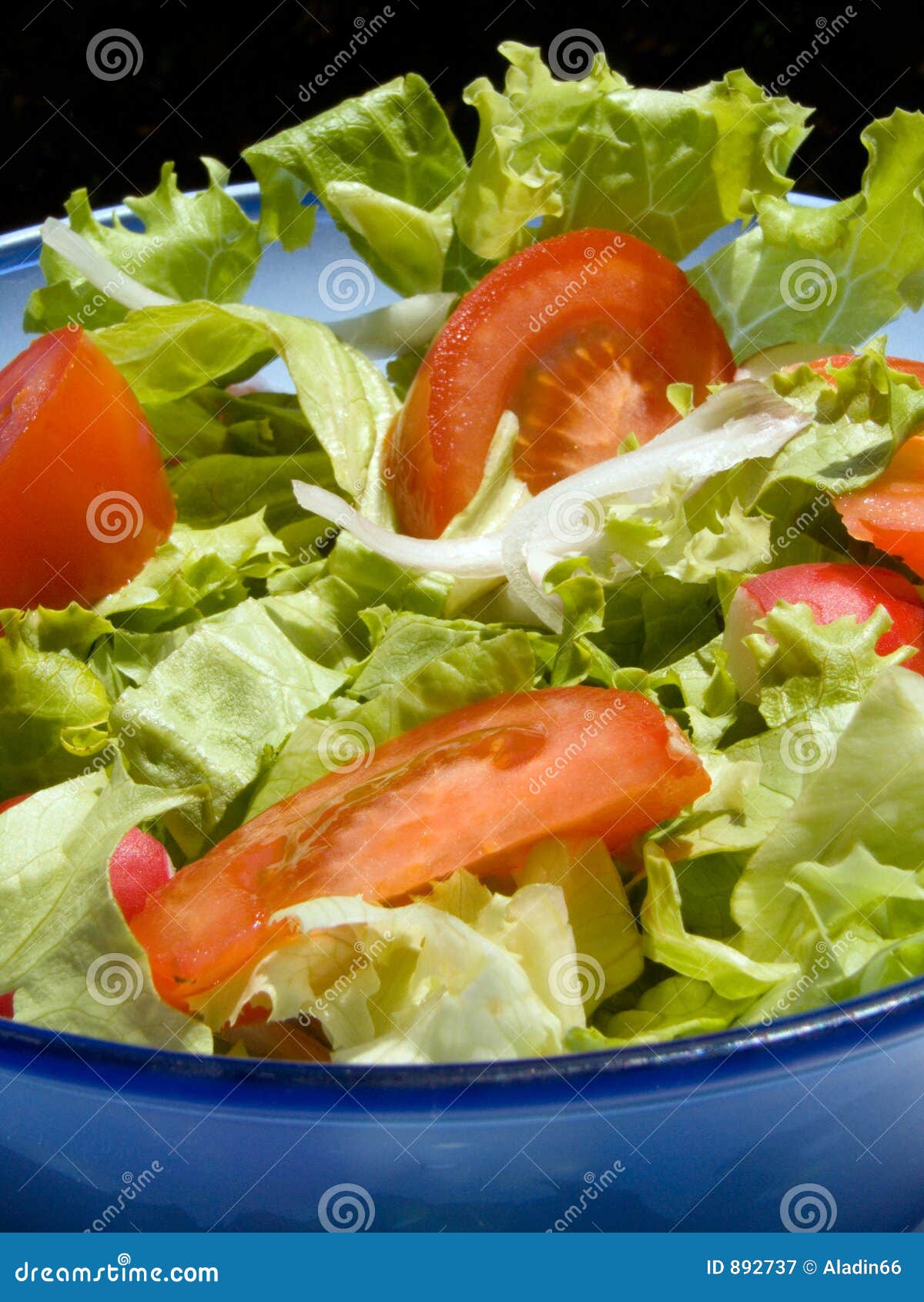 Mixed salad stock image. Image of slice, diet, fresh, detail 892737
