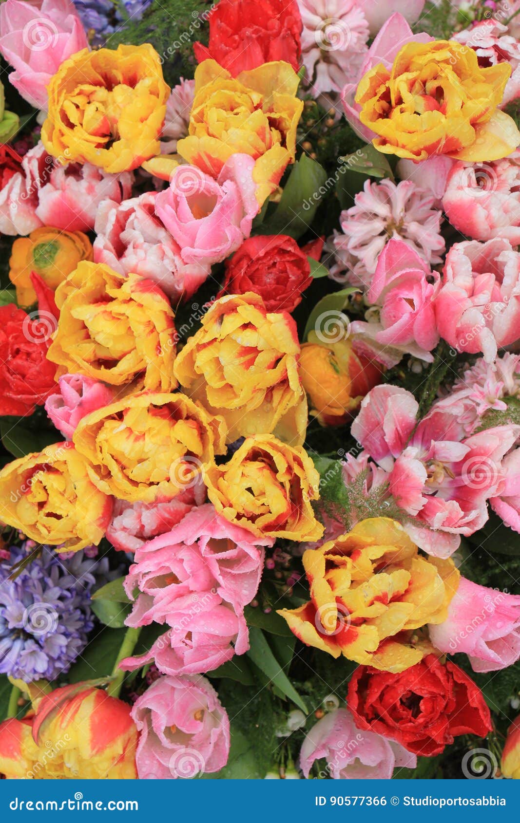 Mixed Spring Flower Bouquet Stock Photo Image of blue, nature 90577366