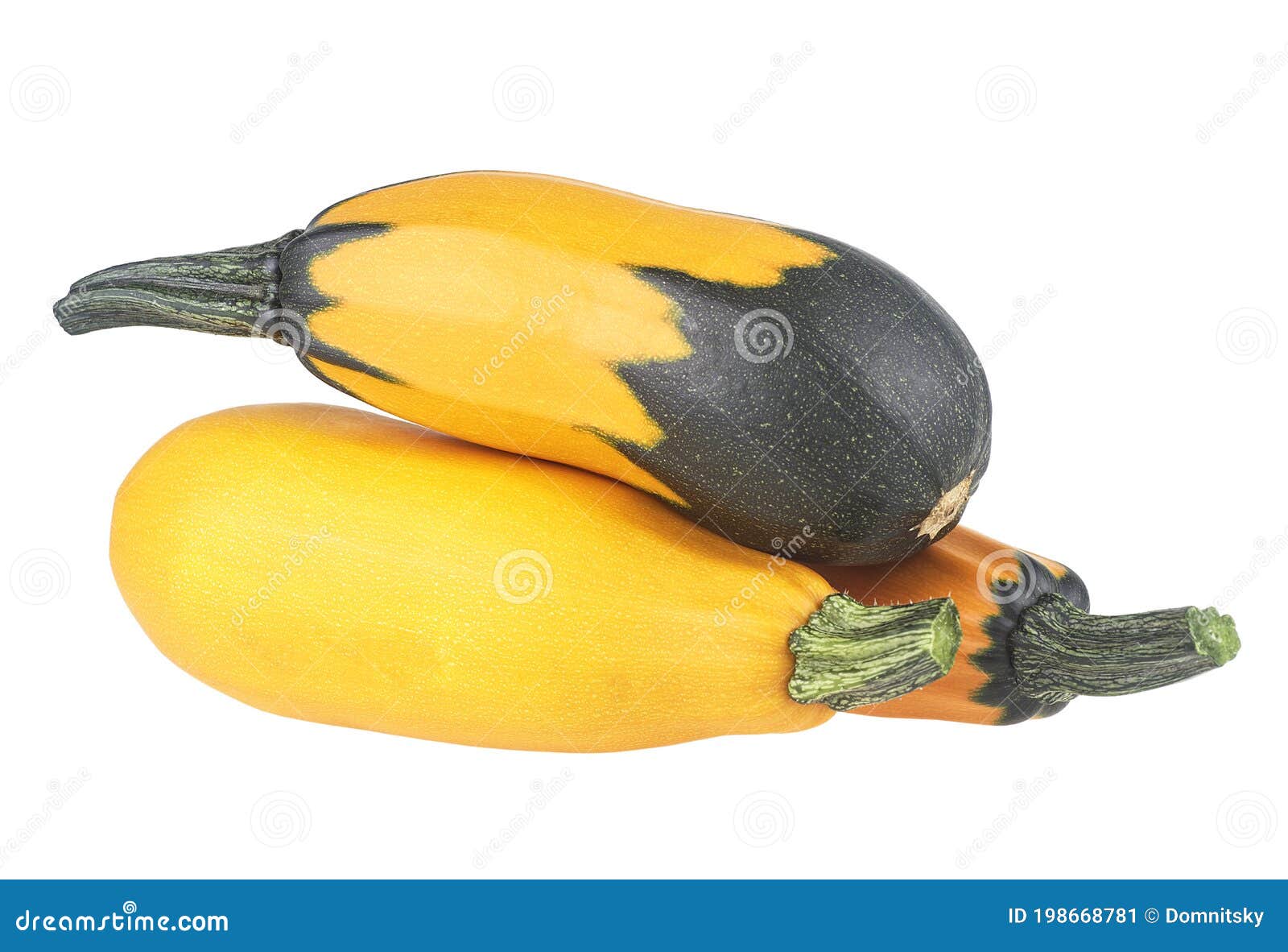Mixed Yellow and Green Zucchini Isolated on White Background. Group of