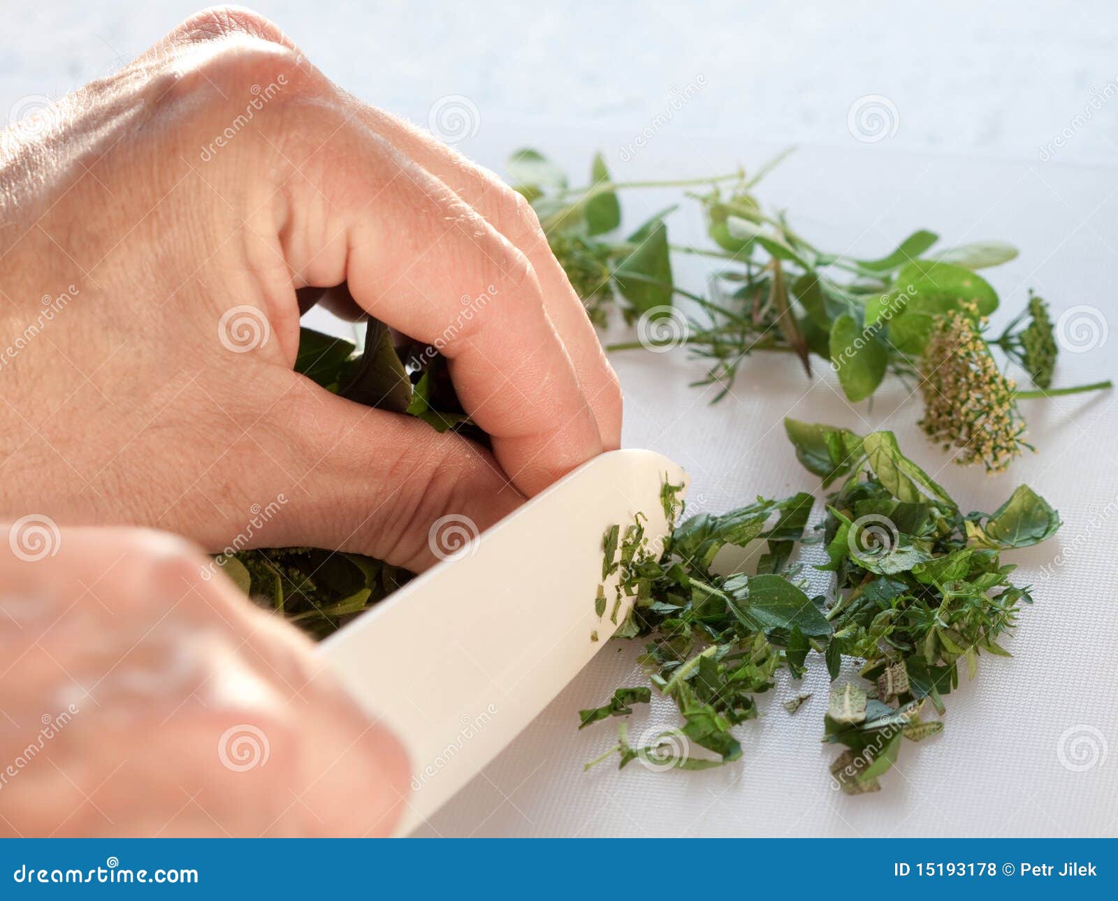 Mixture of fresh herbs, stock photo. Image of healthy 15193178