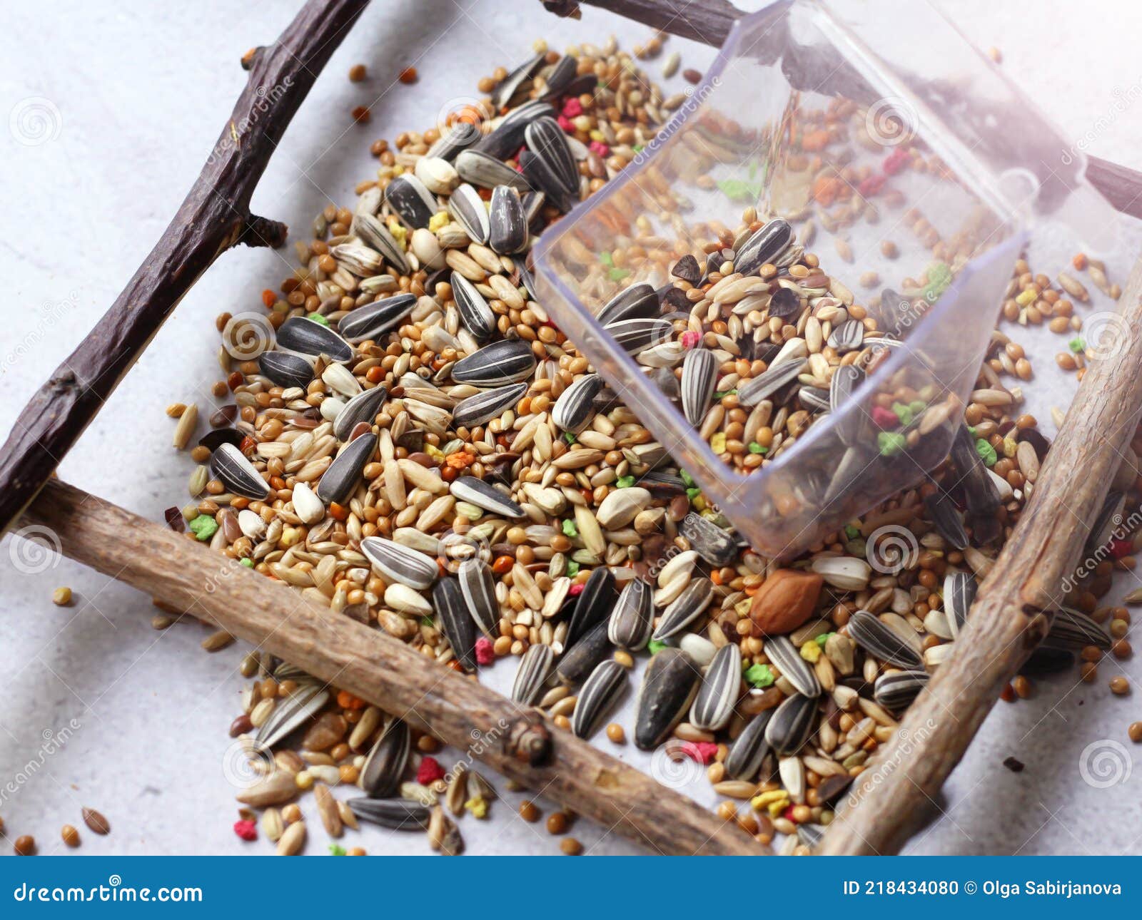 A Mixture of Grains for Birds, Food for Parrots Stock Photo Image of hemp, fresh 218434080