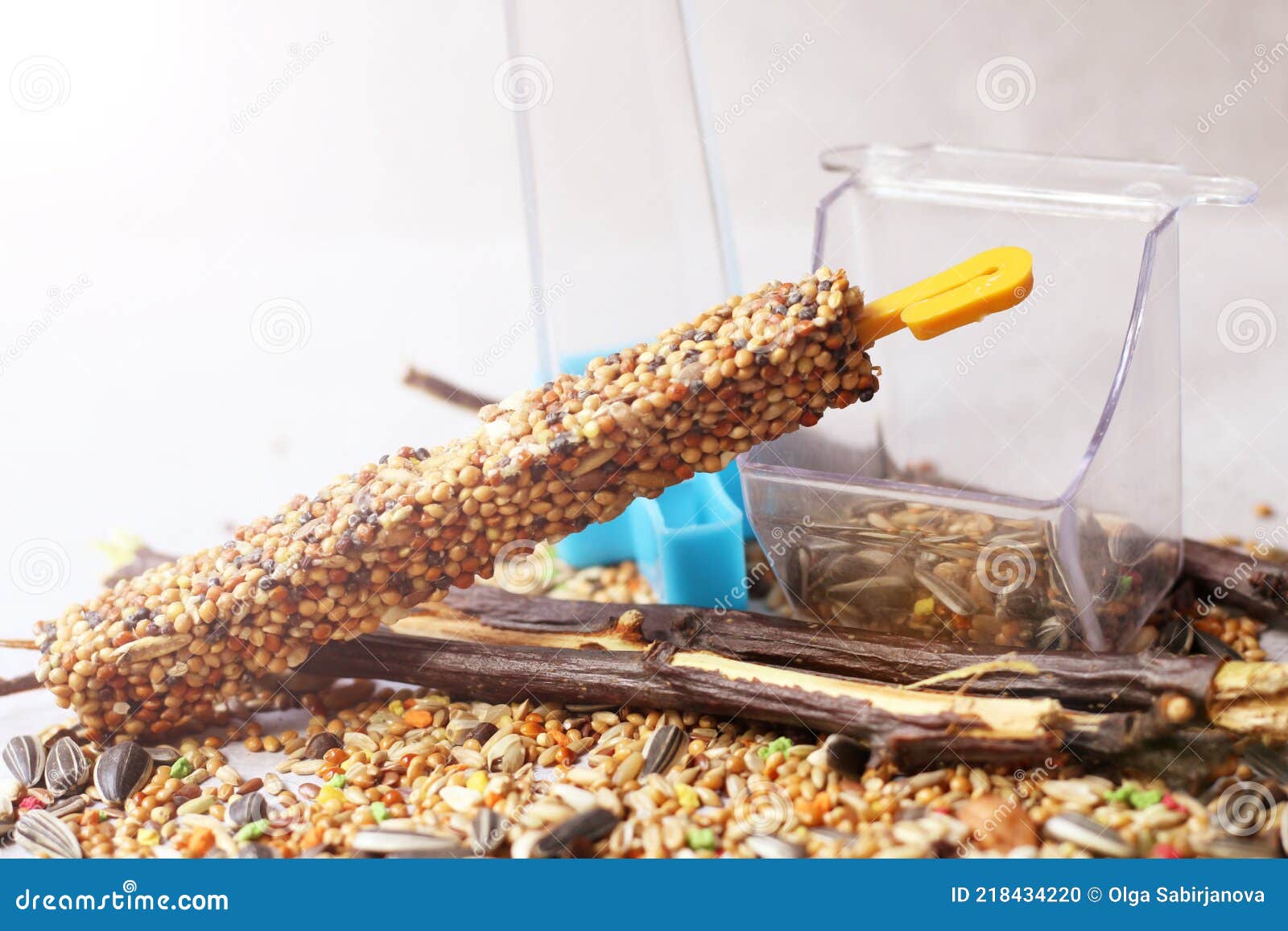 A Mixture of Grains for Birds, Food for Parrots Stock Photo Image of healthy, mixture 218434220
