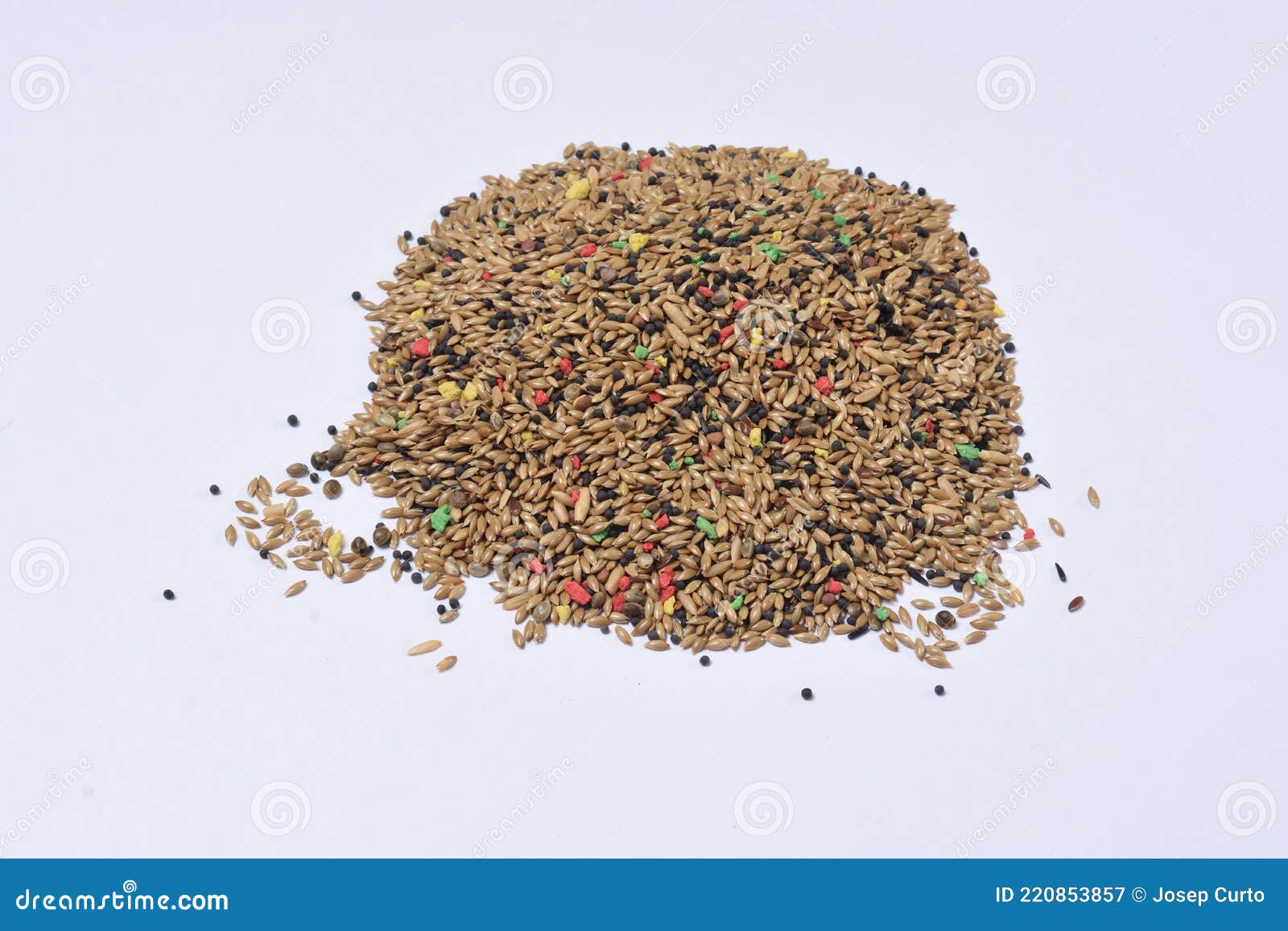 Mixture of Grains, Seeds for Canary Birds Stock Image Image of farm