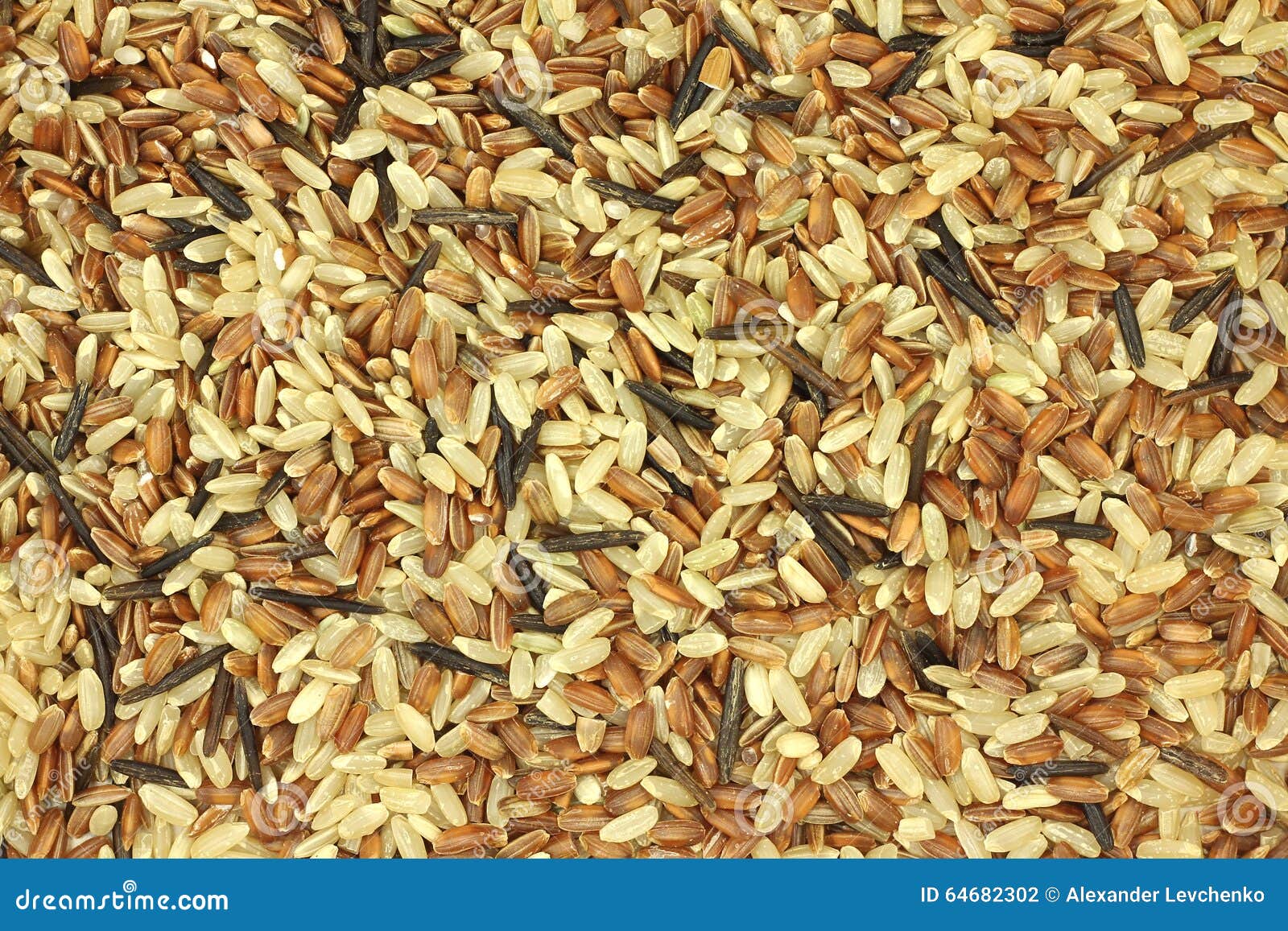 Mixture of Rice Grains Background Stock Photo Image of balanced, texture 64682302