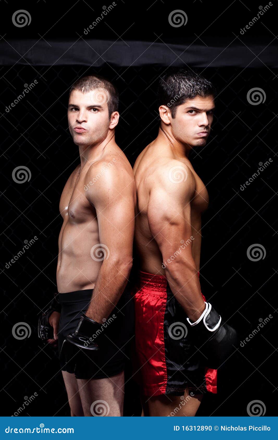 MMA stock photo. Image of fighter, competitor, artist 16312890