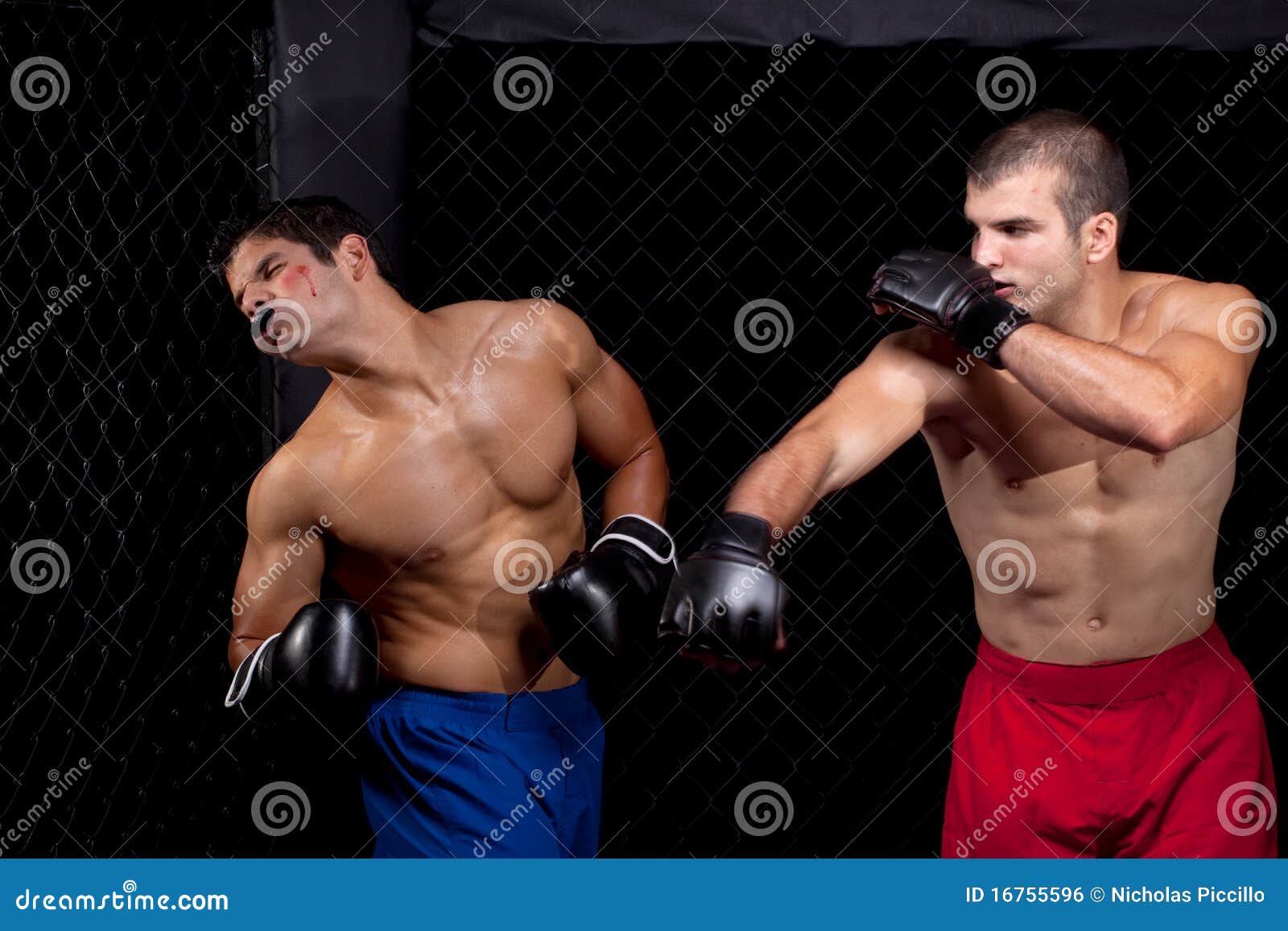 MMA stock photo. Image of athlete, standing, sport, competitor 16755596