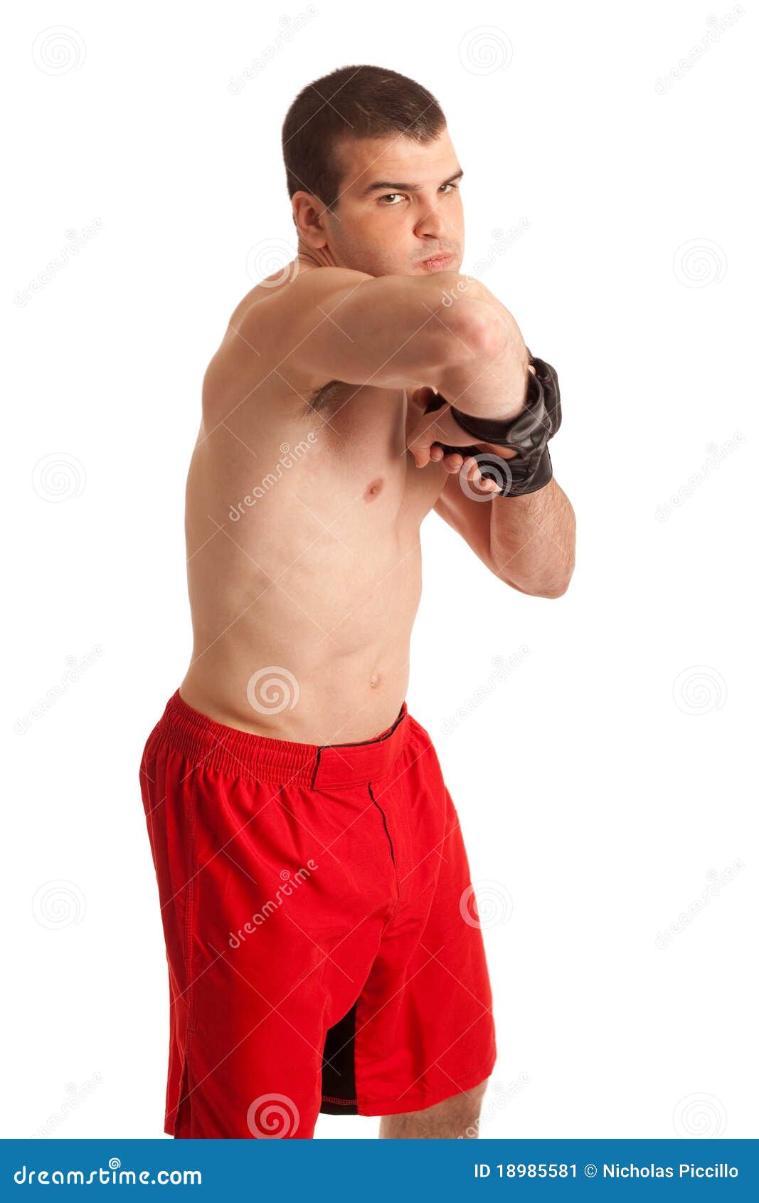 MMA Fighter stock image. Image of fitness, male, boxer - 18985581