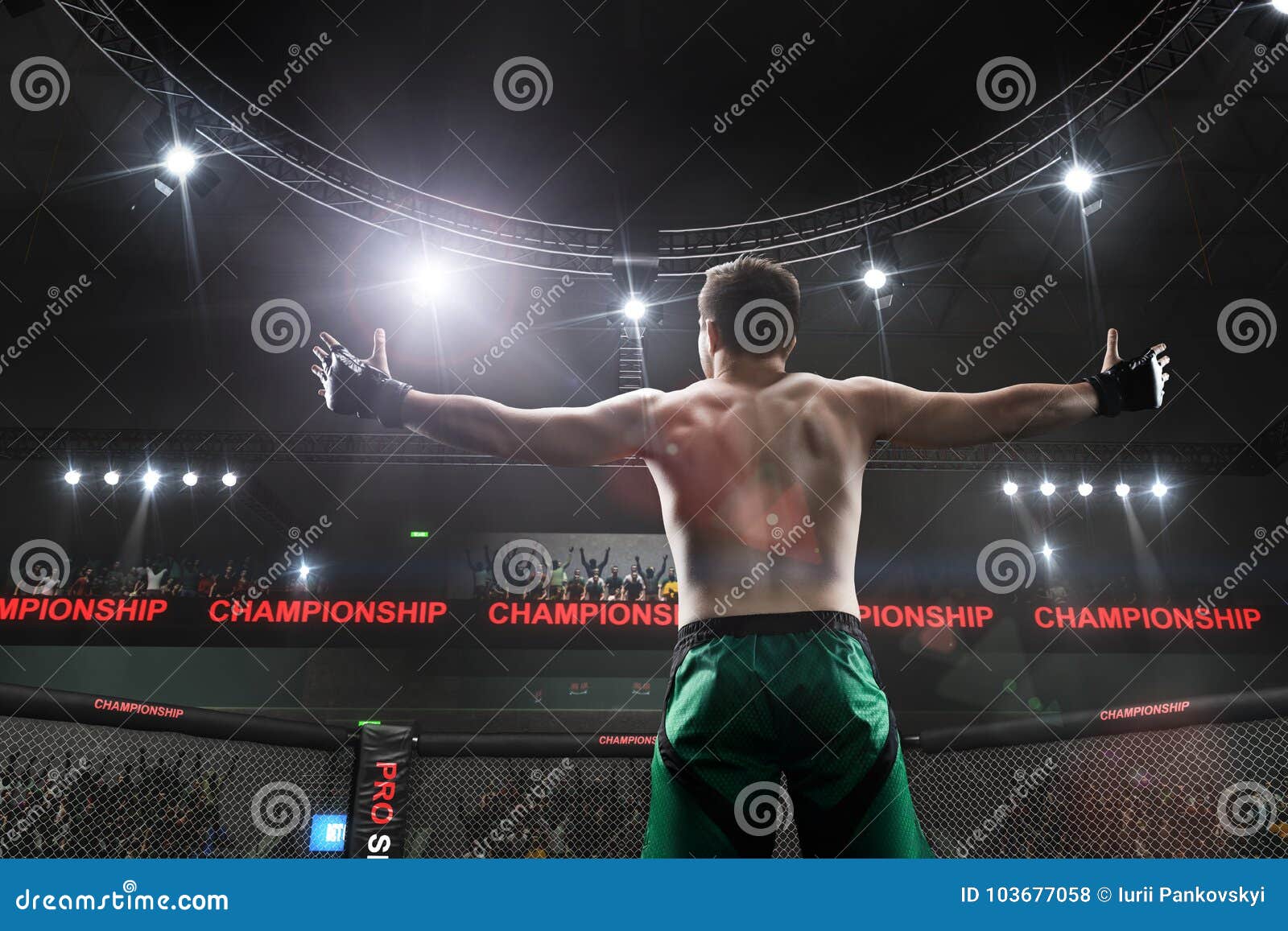Mma Fighter Standing in Fighting Cage Stock Photo Image of fight
