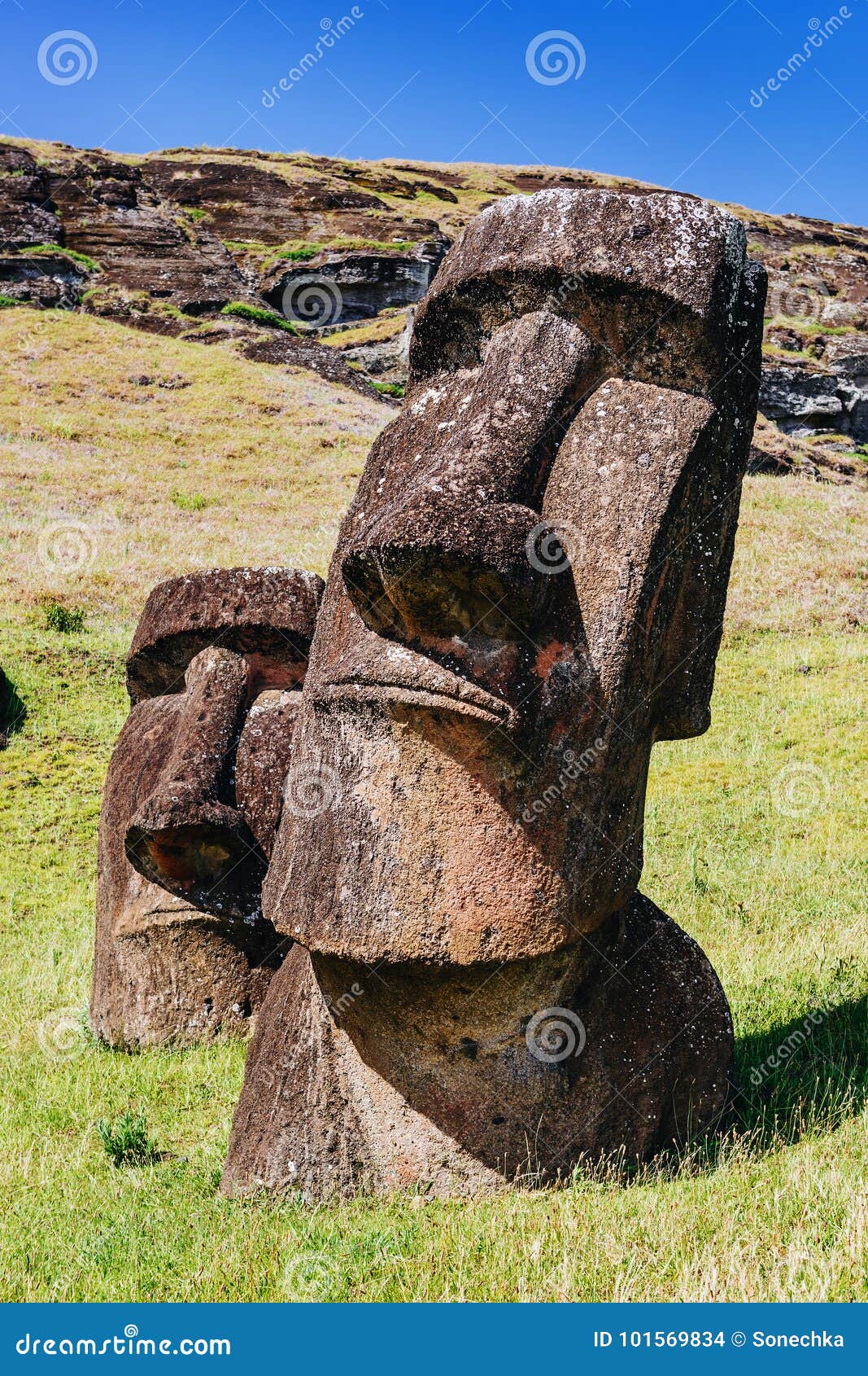 moai statues in the rano raraku volcano in easter island, chile