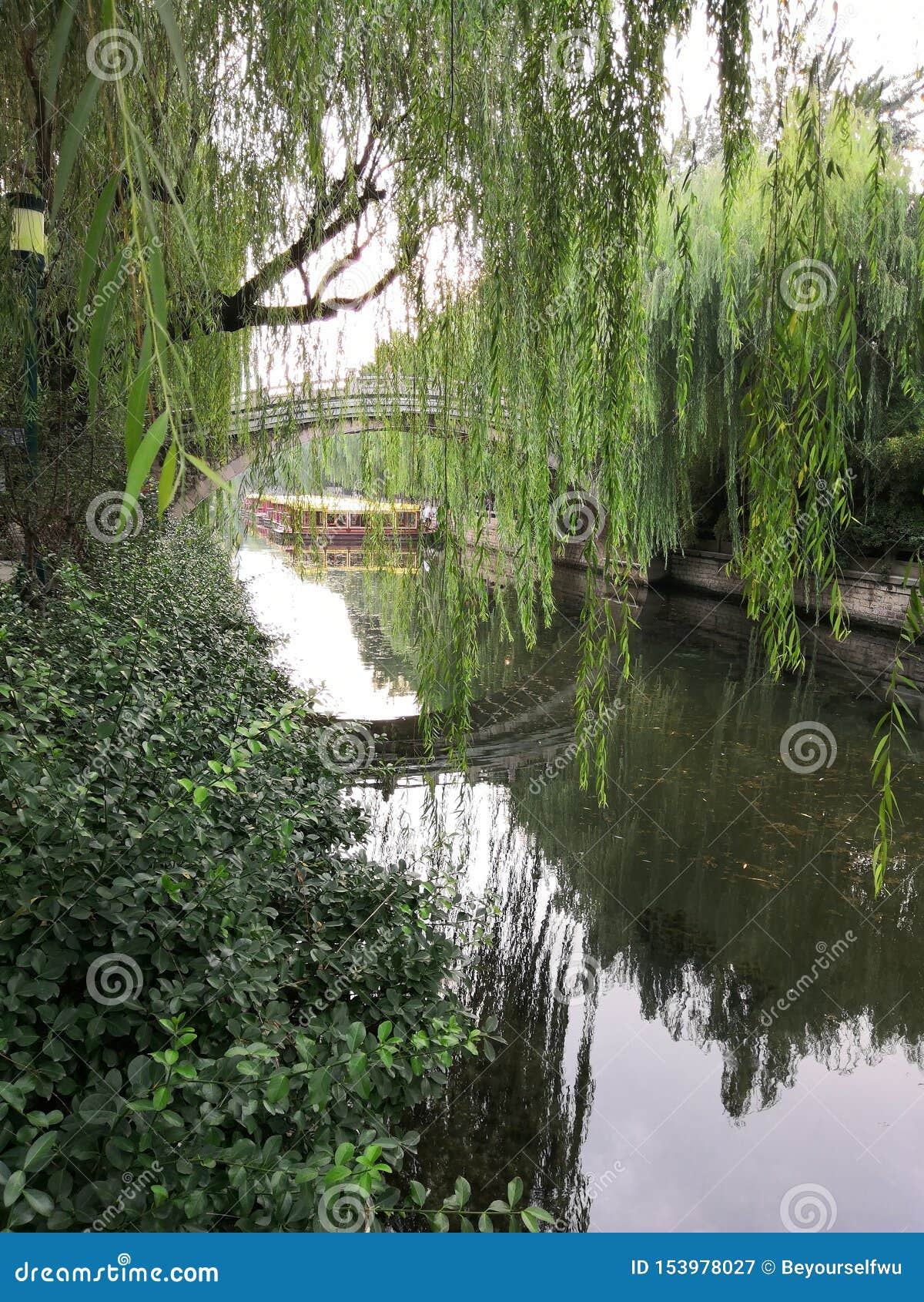 The Moat,spring,Weeping Willows, Arch Bridge Stock Image - Image of ...