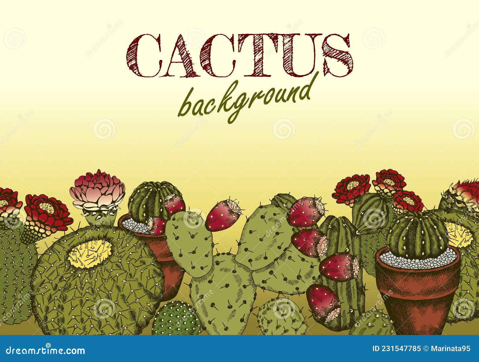Vector Illustration Of Sketch Hand Drawn Poster With Colorful Cacti