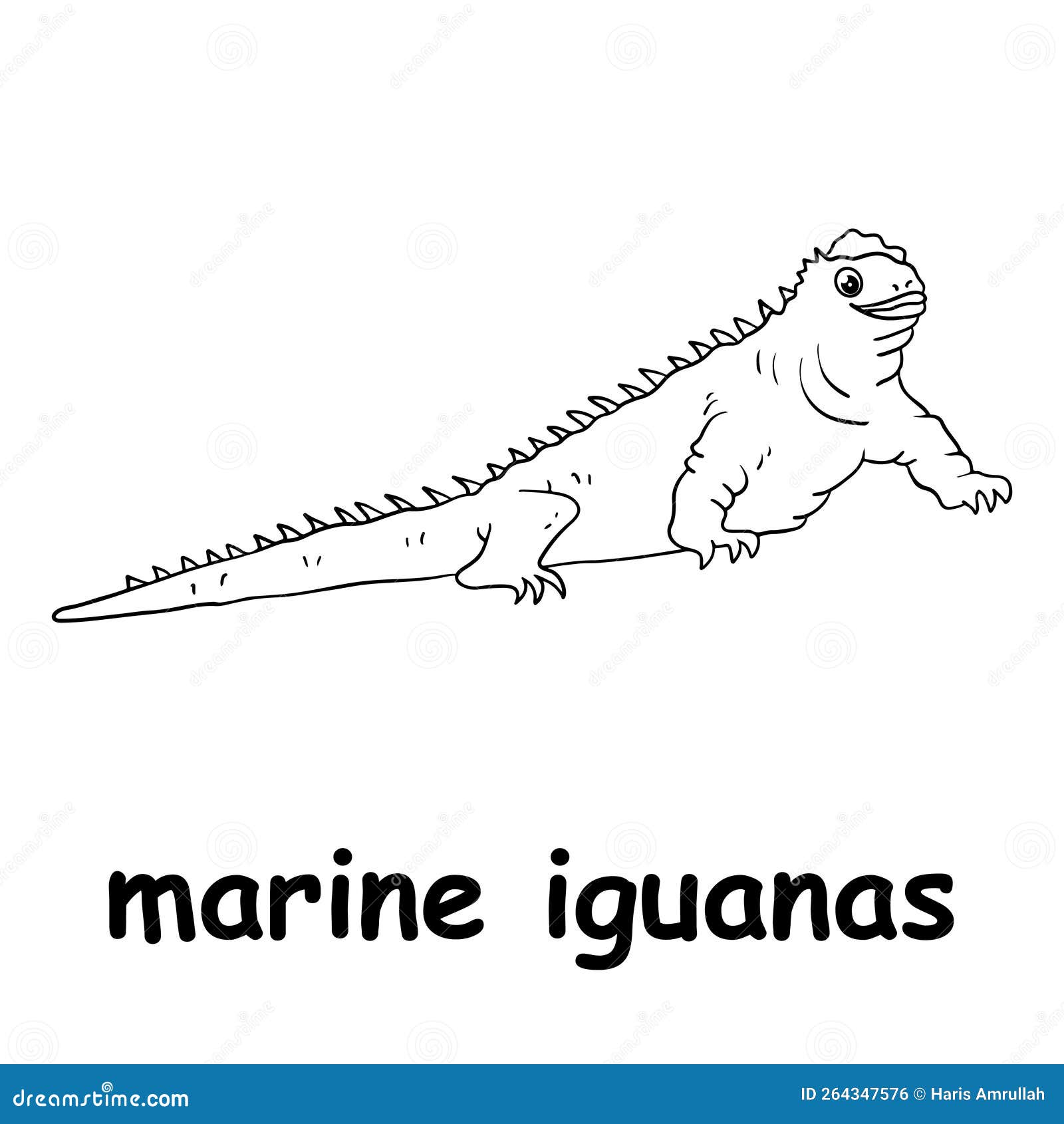 Kids Line Illustration Coloring Marine Iguanas. Animal Are Just Lines