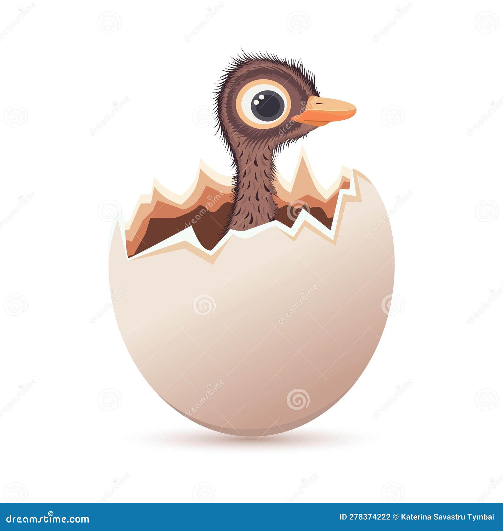 A Baby Ostrich in an Eggshell. Cartoon Drawing. Stock Vector