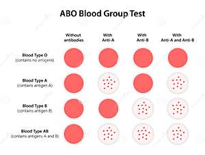 ABO Blood Group Test Scientific Technology Stock Vector 