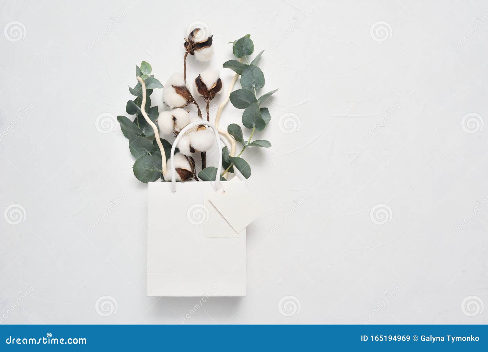 Download Mock Up Autumn Of Dried Bouquet Of Cotton Flowers And Leaves Of Eucaliptus In White Package With Place For Your Text Stock Image Image Of Cotton Leaves 165194969