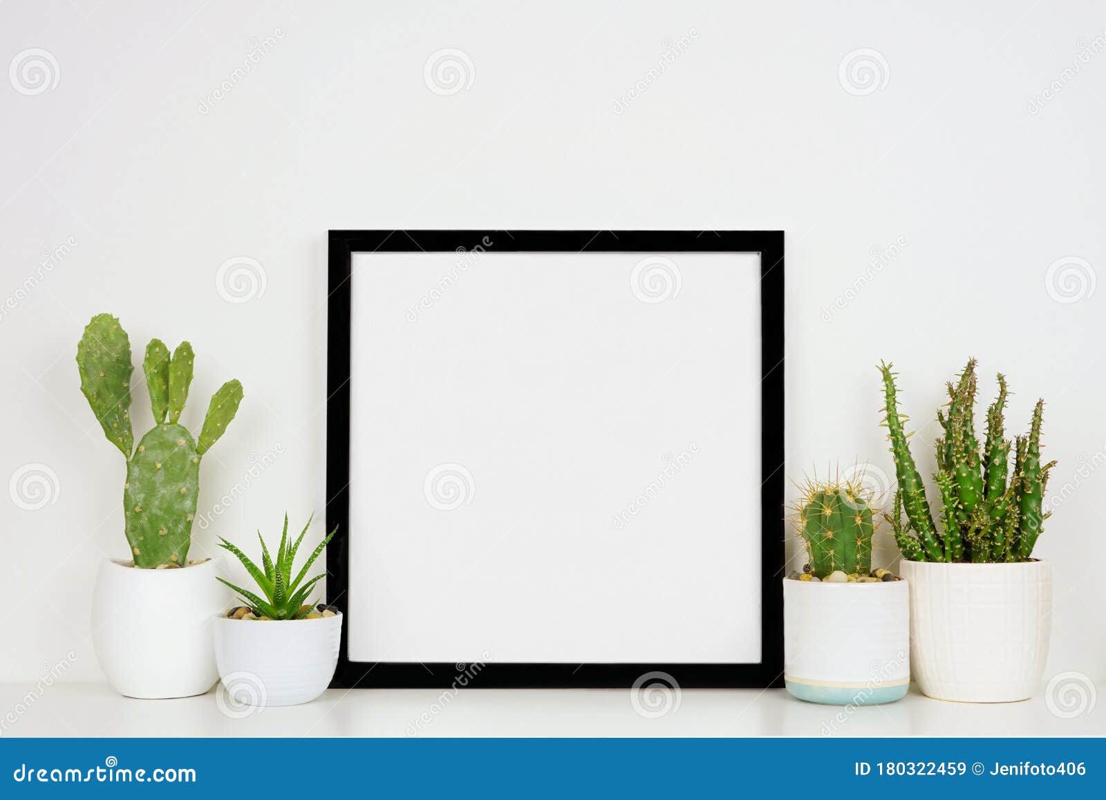 Download Mock Up Black Square Frame With Potted Cacti And Succulent Plants On A Shelf Against A White Wall Stock Image Image Of Copy Decoration 180322459