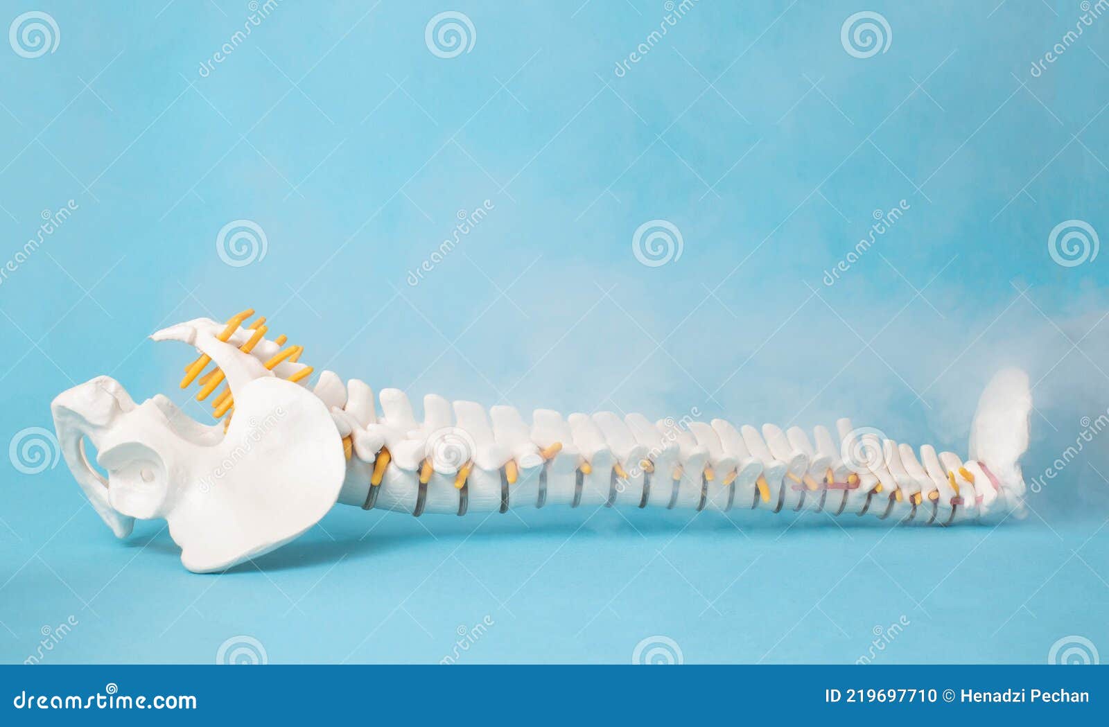 mock up of a human spine on a blue background and steam from low temperatures. cold spine treatment concept, ozone