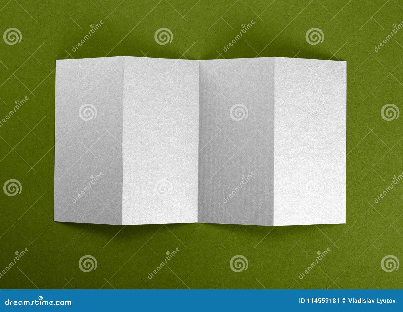 mockup of opened four fold brochure at green background four fold brochure