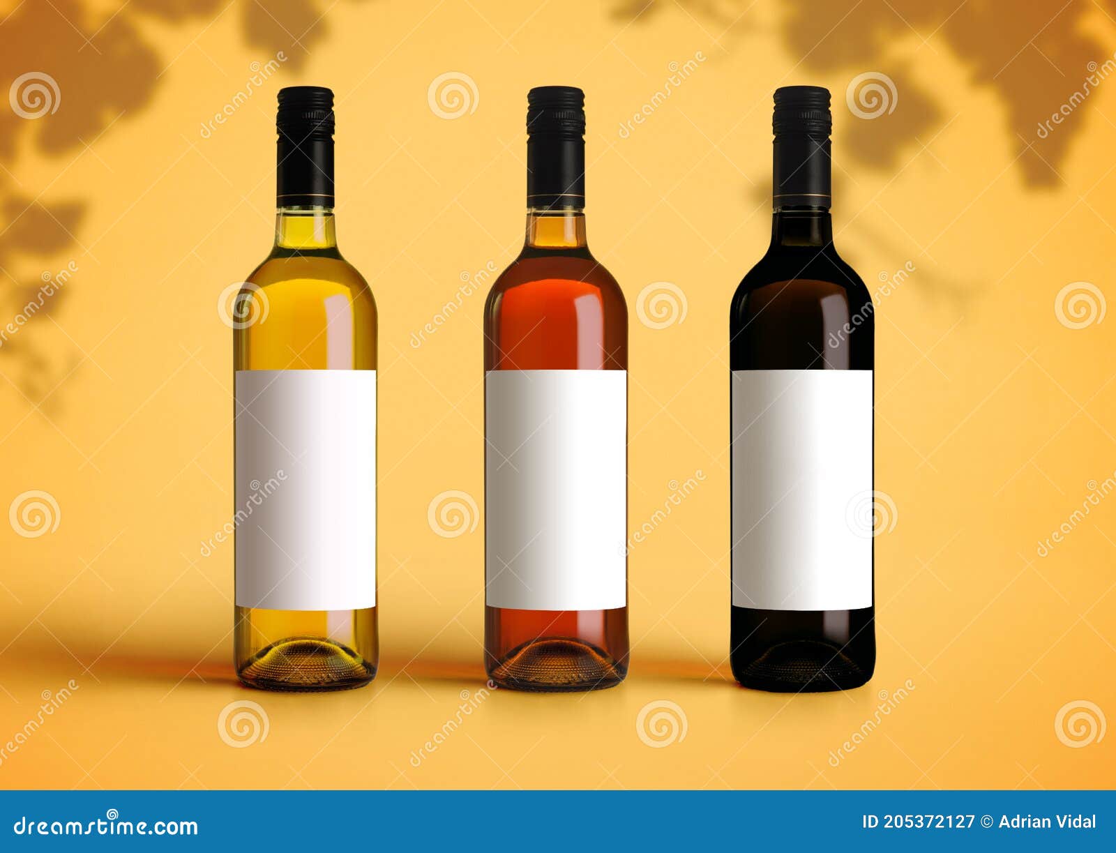 Types of label for wine bottles 