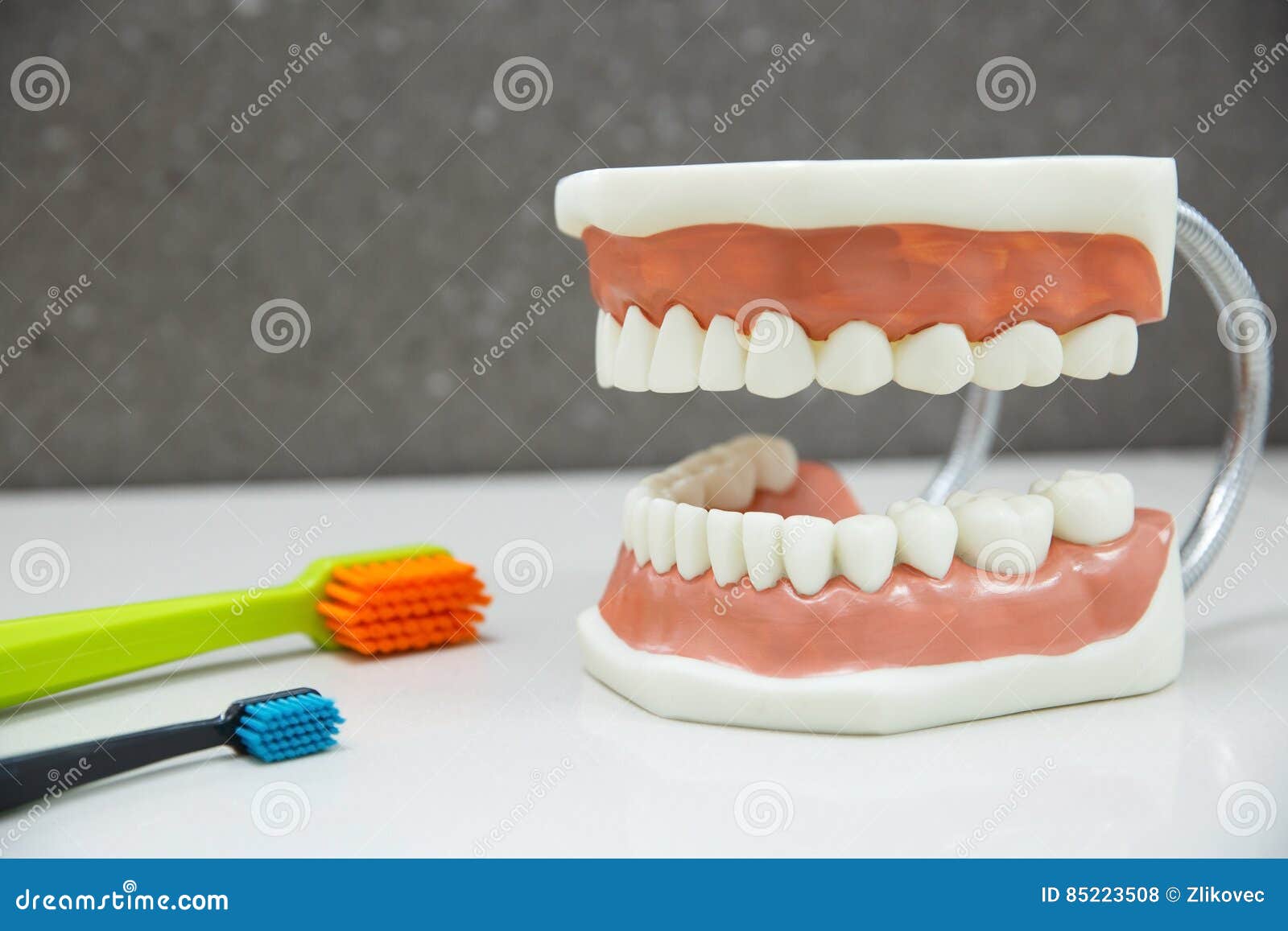 Concept De Mâchoire De Dents Mâchoire Inférieure Et Supérieure