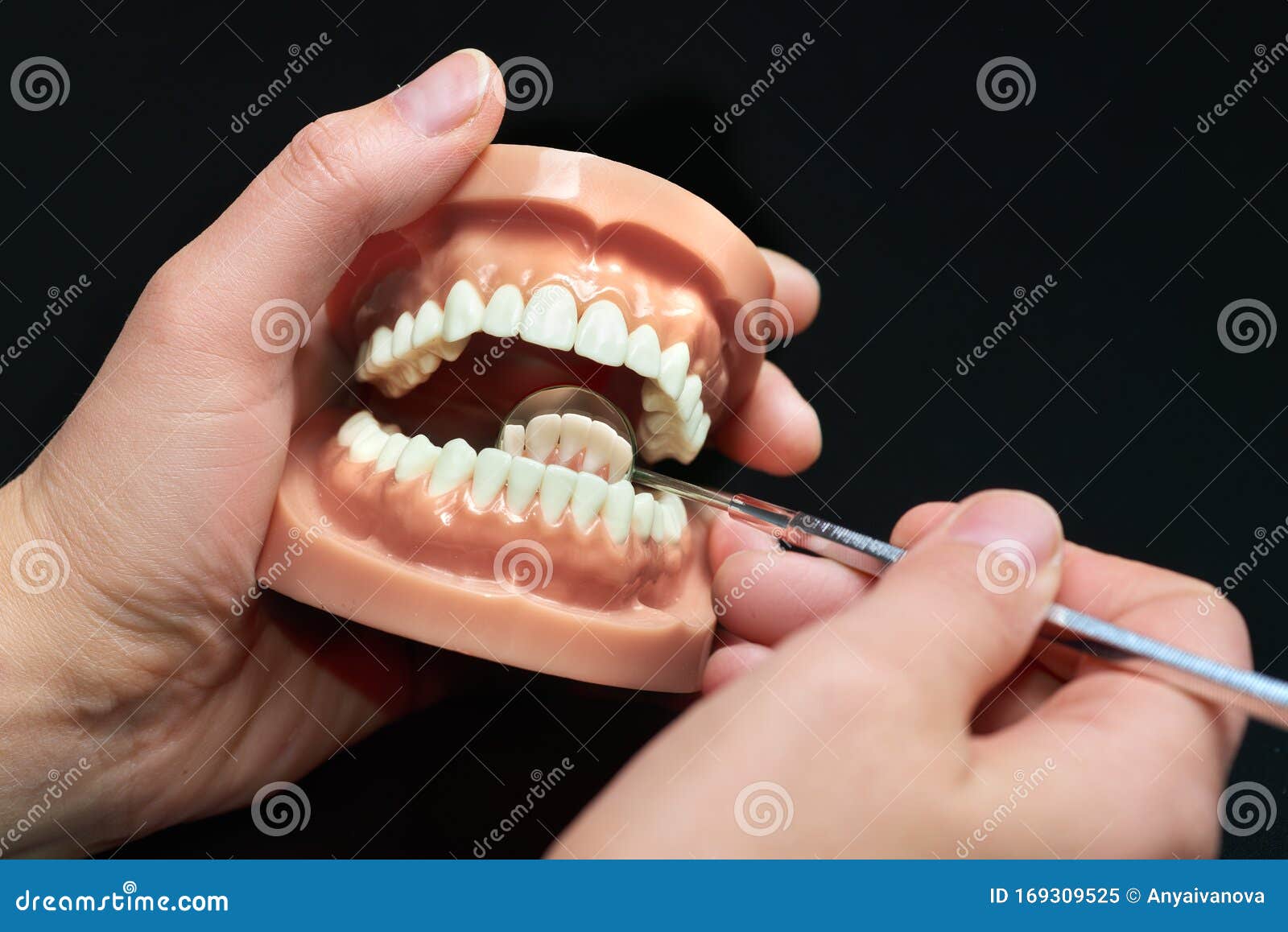 Modèle Dentaire, Observation à L'aide Du Miroir Dentaire Image