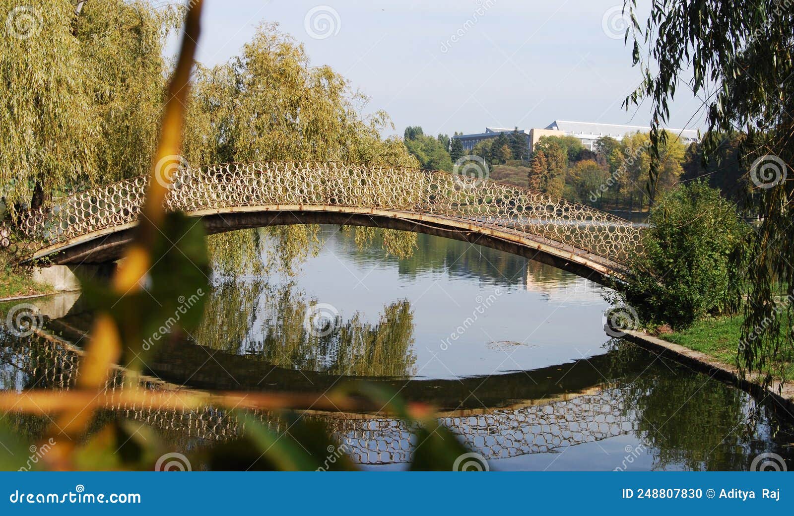 Modal natural image stock photo. Image of water, natural 248807830