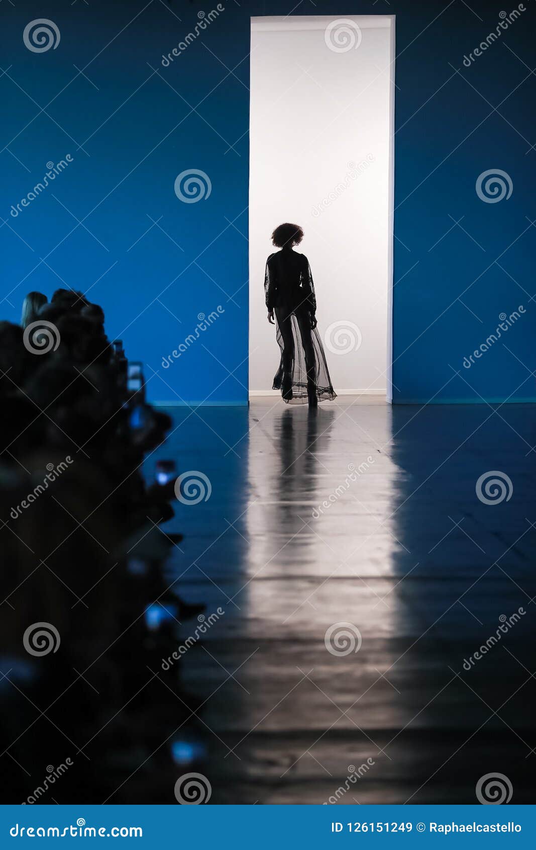 silhouette of model on catwalk.
