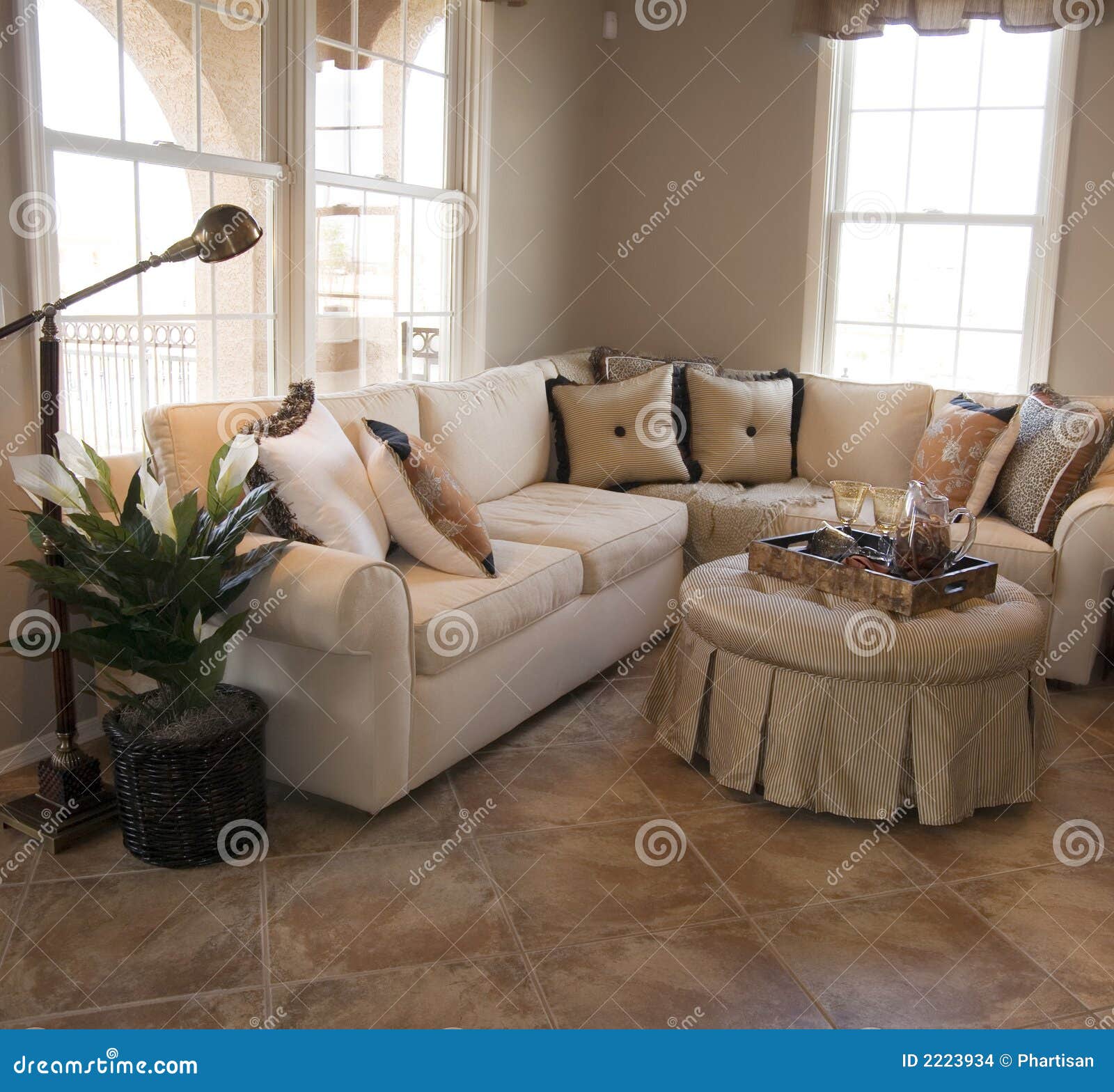 My Image 11