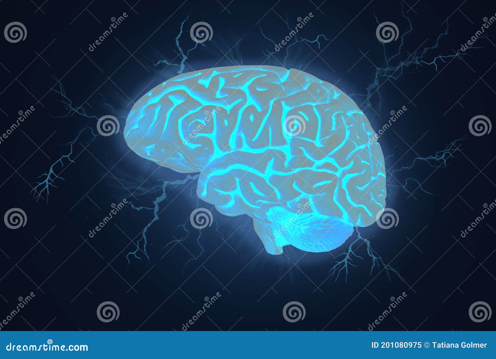 Human Cerebral Cortex. Pyramidal Neuron. Lipofuscin Royalty-Free Stock ...