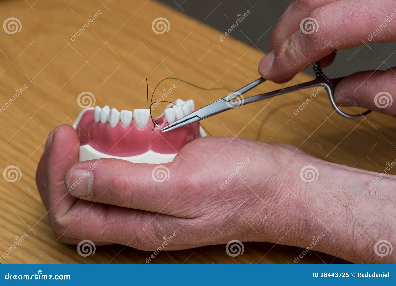 Model Medical Implants Testing the Equipment Stock Image Image of