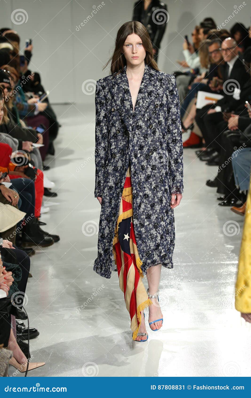 A Model Walks the Runway at the Calvin Klein Collection Editorial Photo ...