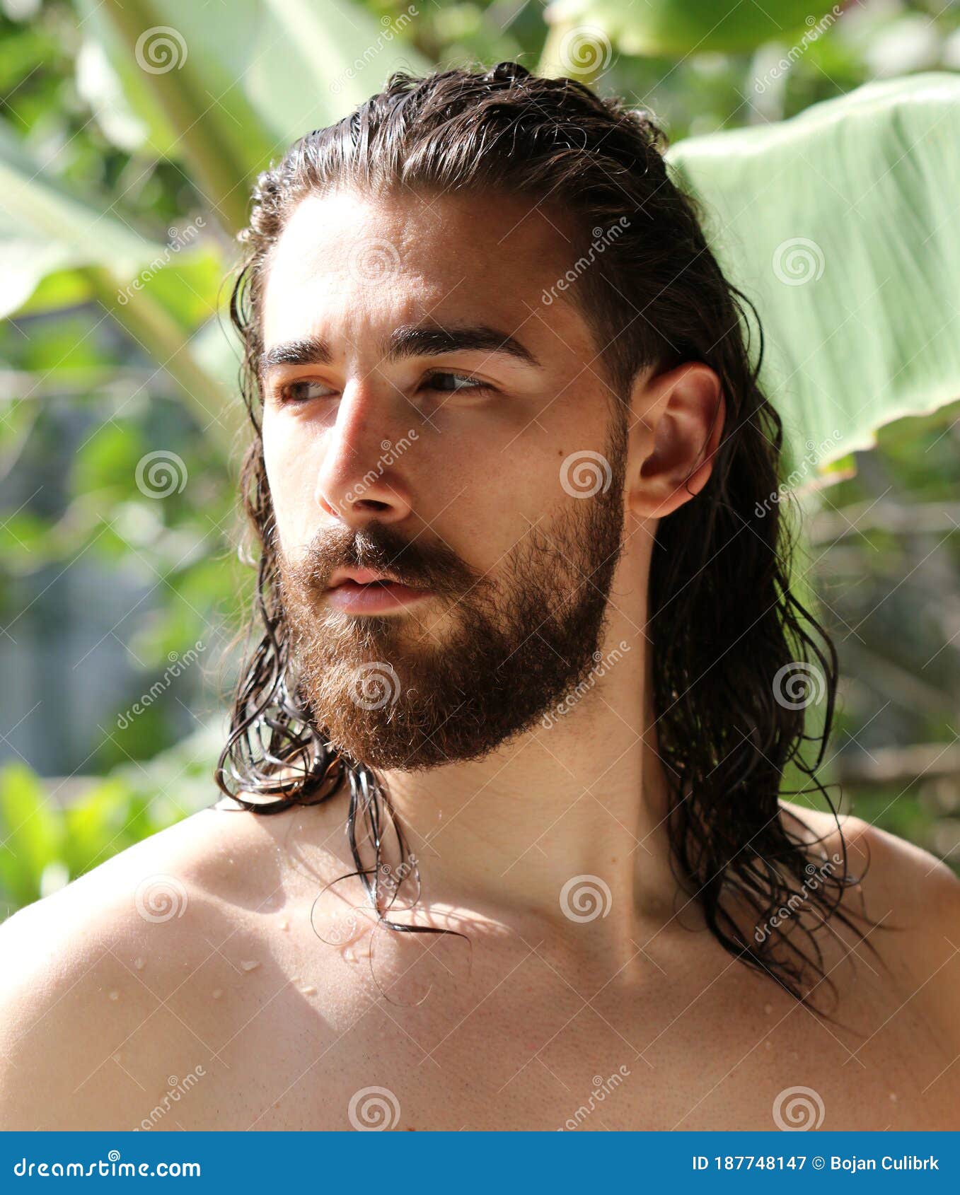 Young, Attractive Male Model with Long Hair and Beard Posing in Nature.  Stock Image - Image of looking, bearded: 187748147