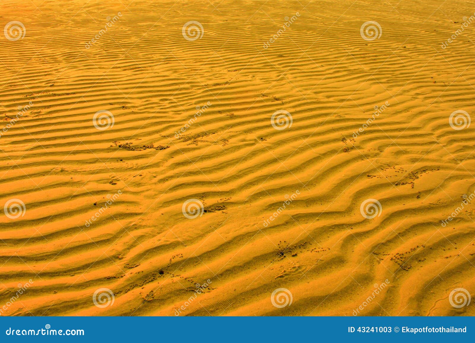 Modello della spiaggia di sabbia per il lavoro del fondo